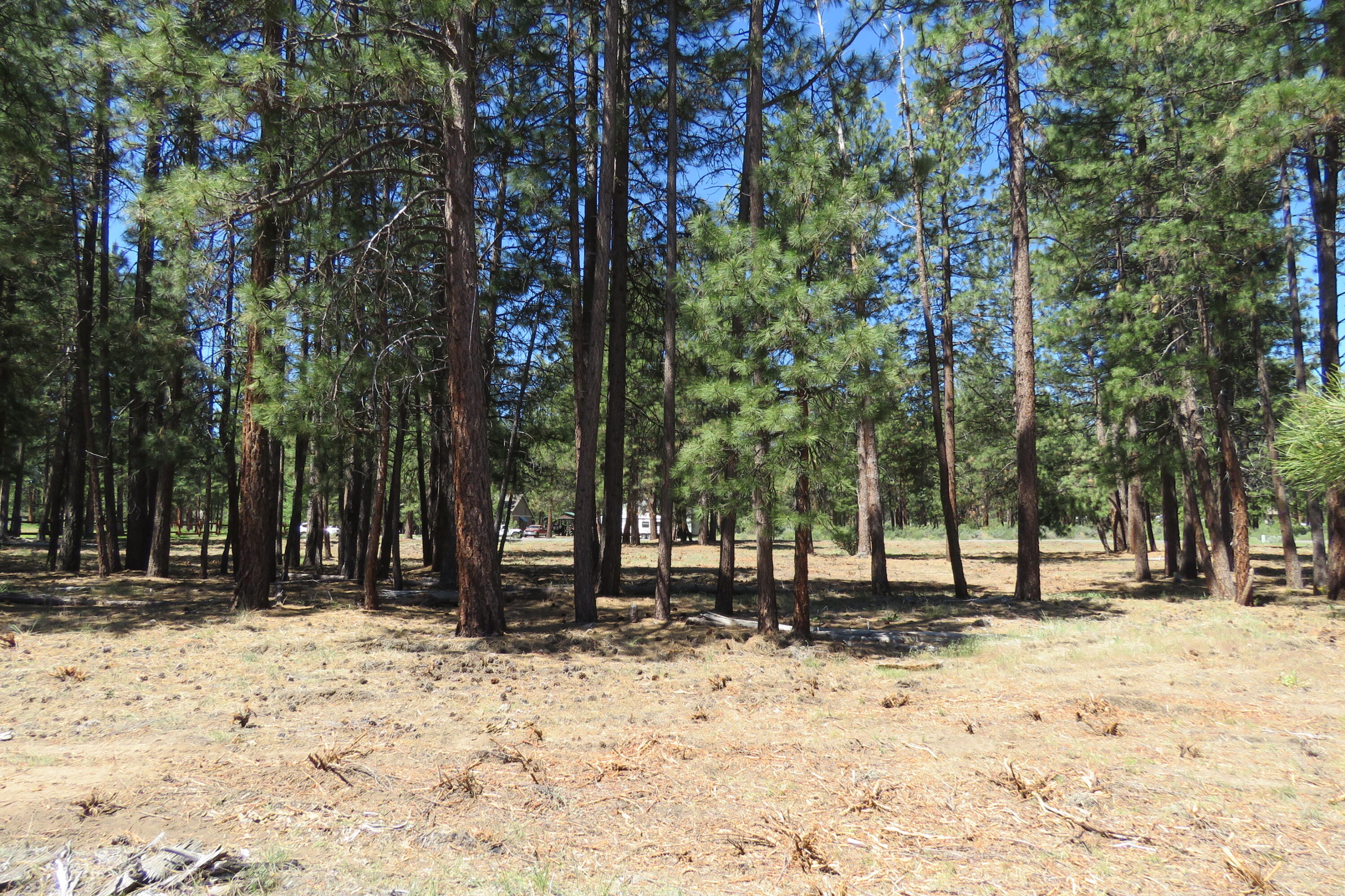 Pine Meadow Village -Phase 1 - Land