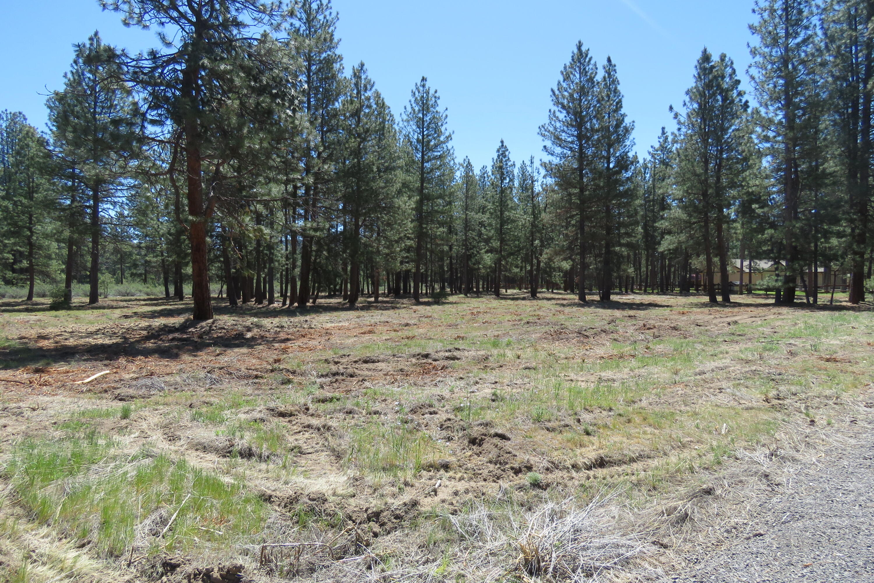 Pine Meadow Village -Phase 1 - Land