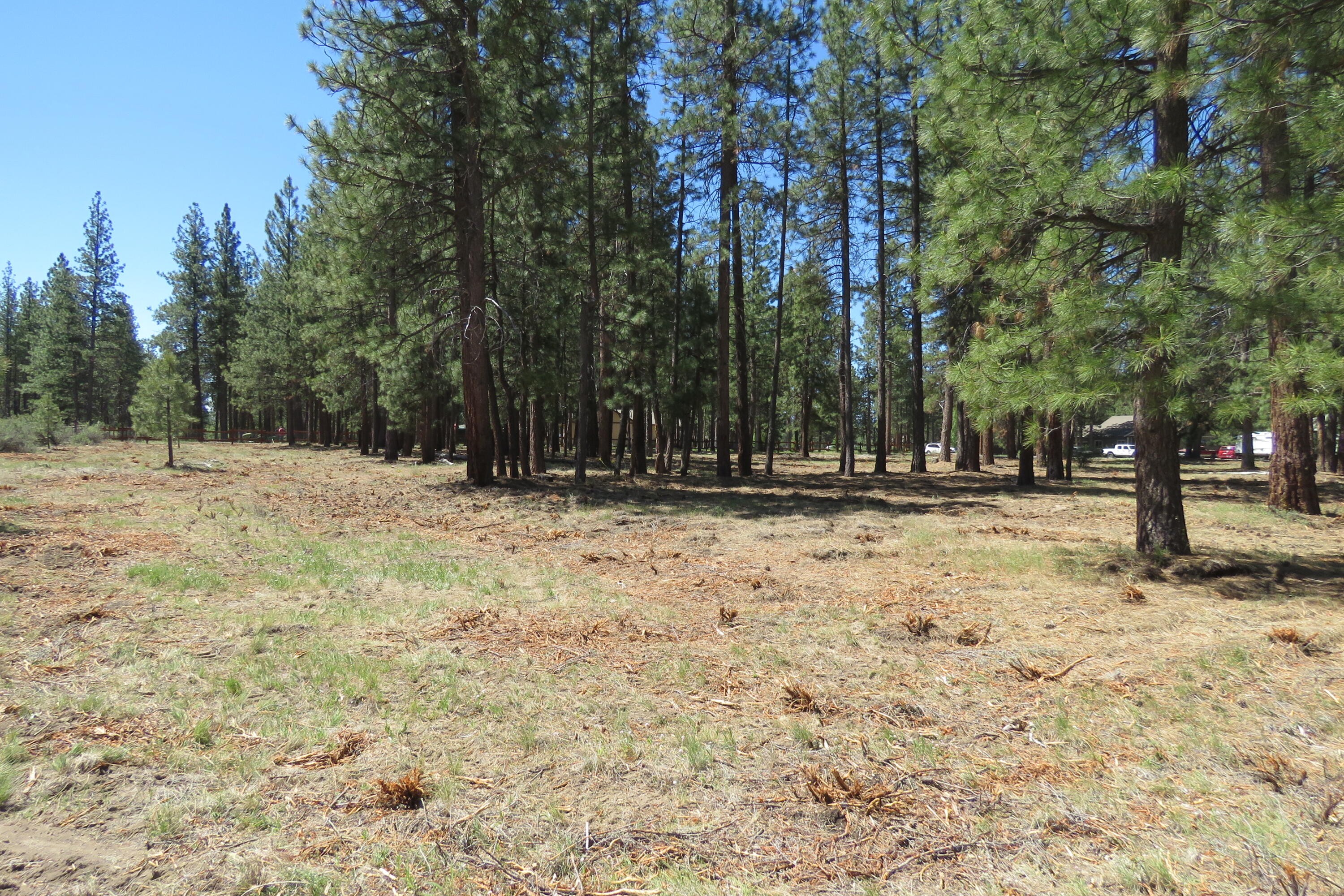 Pine Meadow Village -Phase 1 - Land