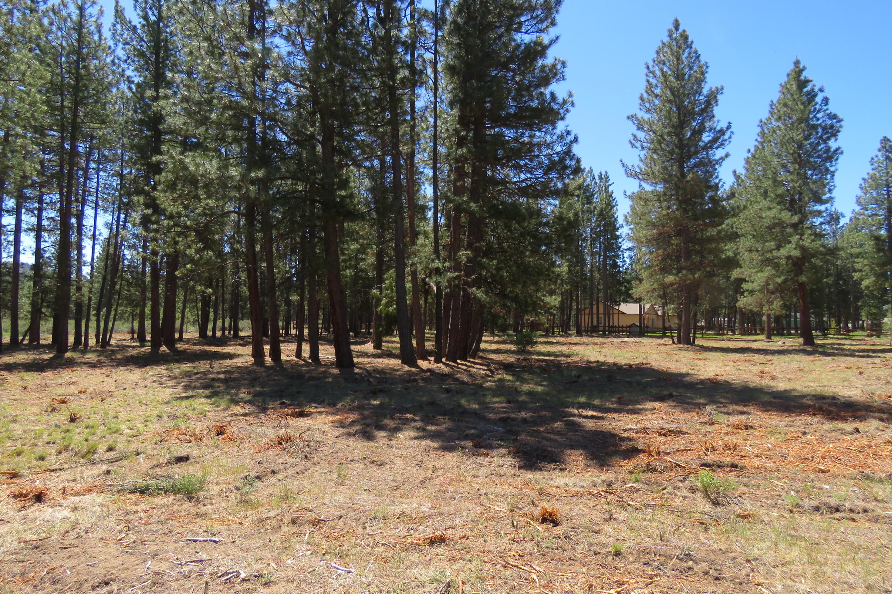 Pine Meadow Village -Phase 1 - Land