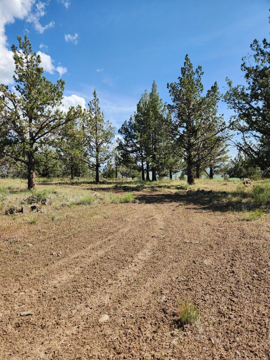 Gorgeous lot in Alturas on almost 1 1/2  acres.  Close to town but very private.  This property is a hilltop with flat land ideal to build your dream home.  Beautiful view of Alturas, especially at night.  Great view of snow-capped Warner Mountains,  National Wildlife Refuge, reservoirs and alfalfa fields.  You can see for miles.  Lots of hunting & fishing in this area.  The lot has been thinned and power is 1000 feet away.  Come see this wonderful lot and make it your own. CA DRE 02145244/FNR CA DRE 02074761