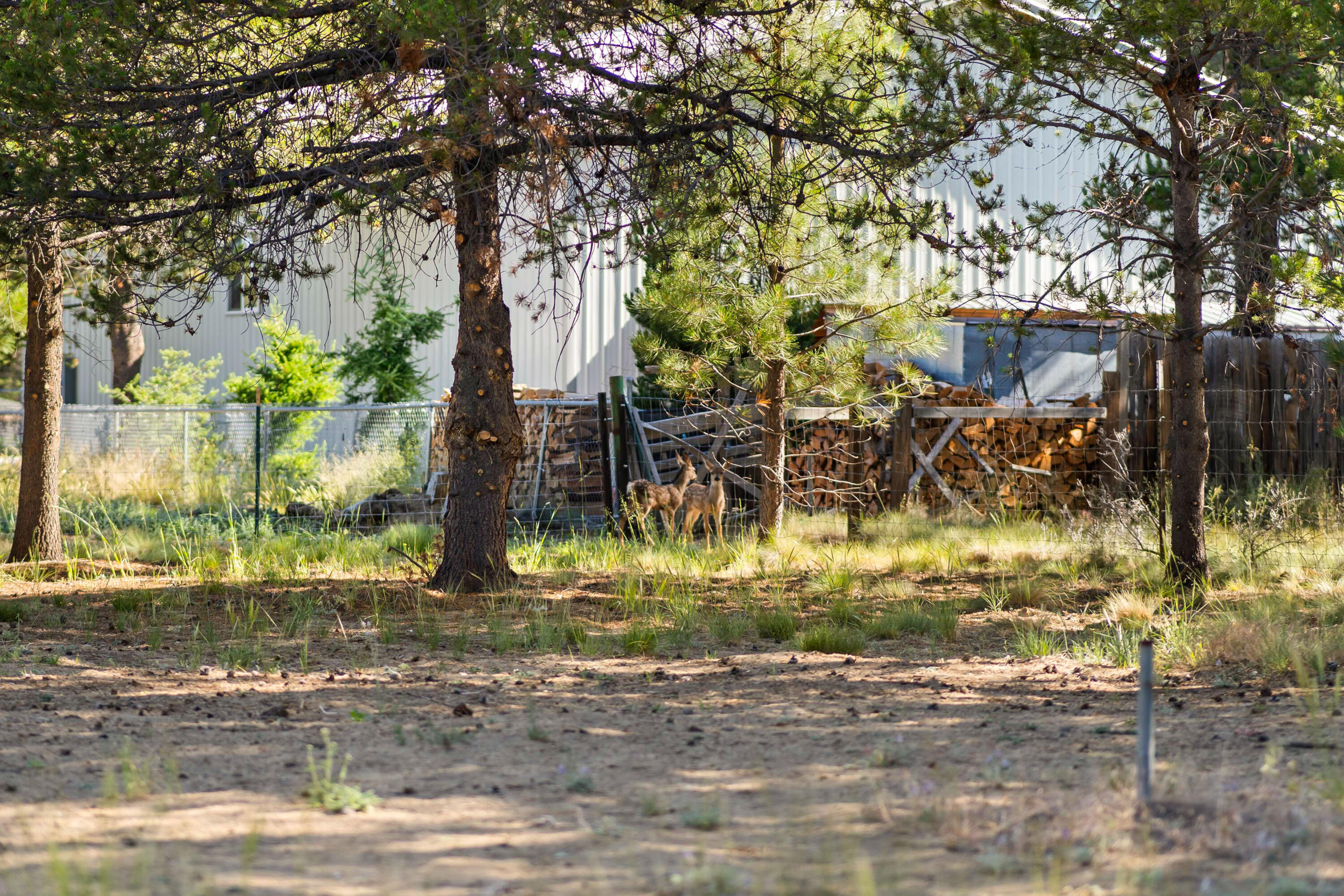 Evergreen Park - Residential