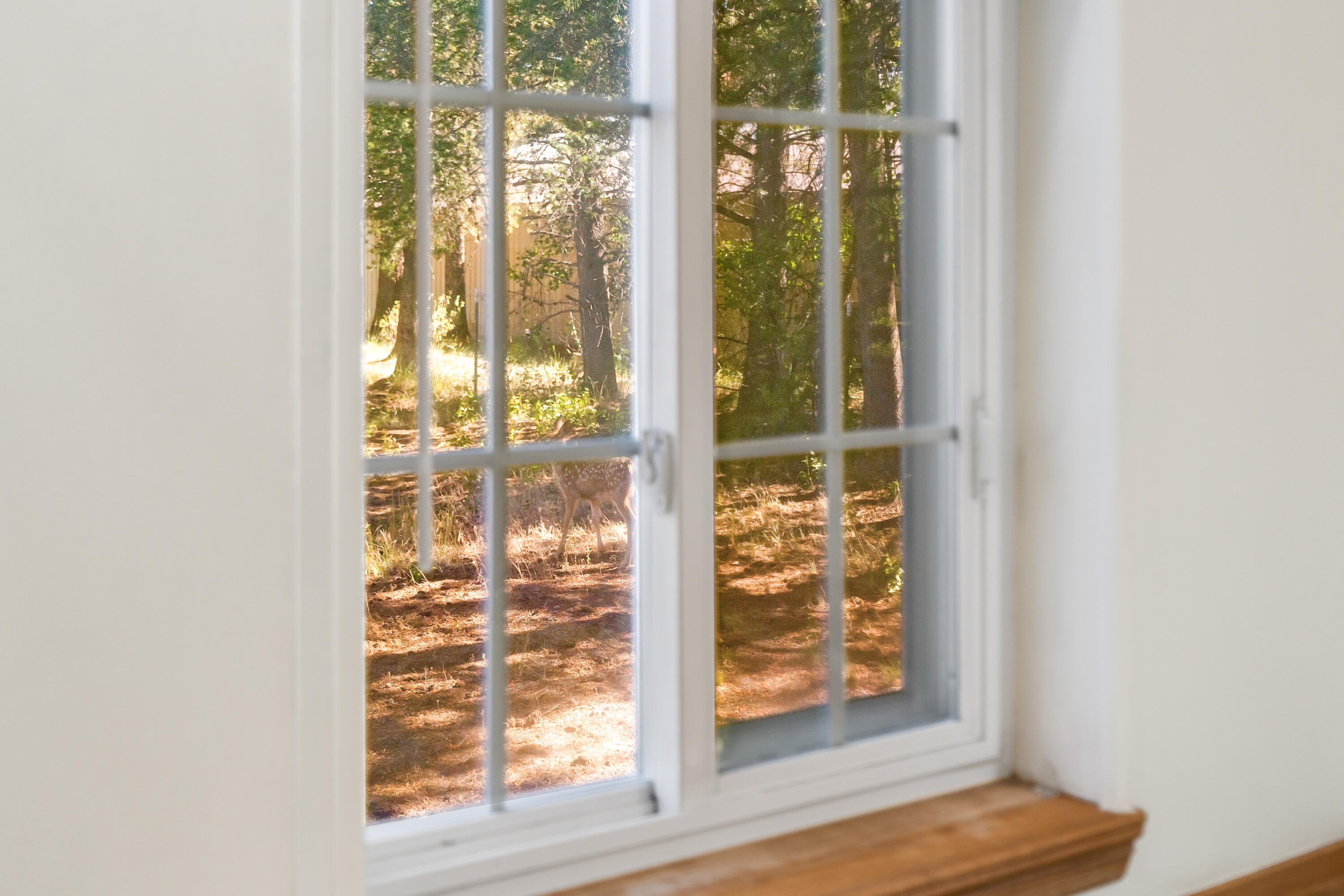 Evergreen Park - Residential