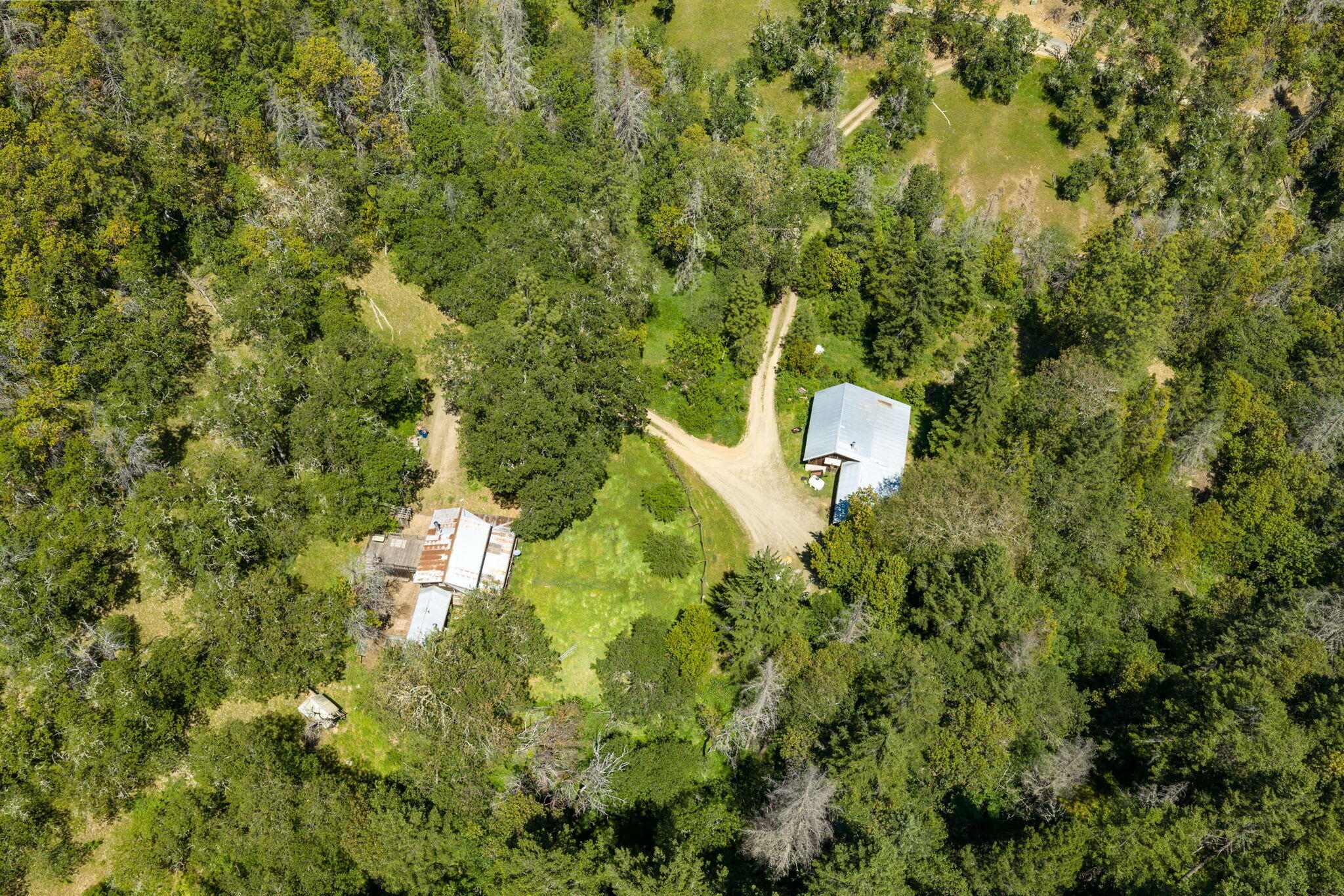 3315 Sardine Creek Road