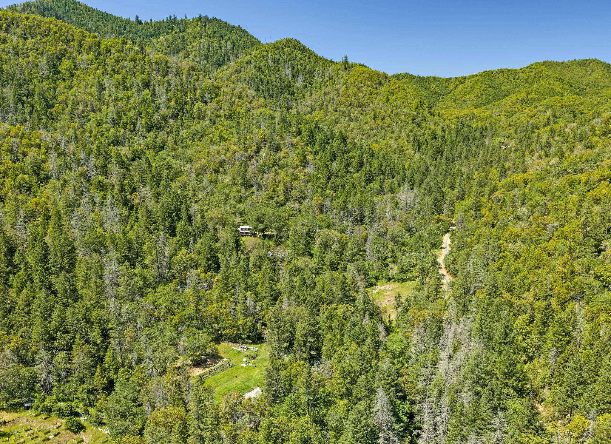 3315 Sardine Creek Road