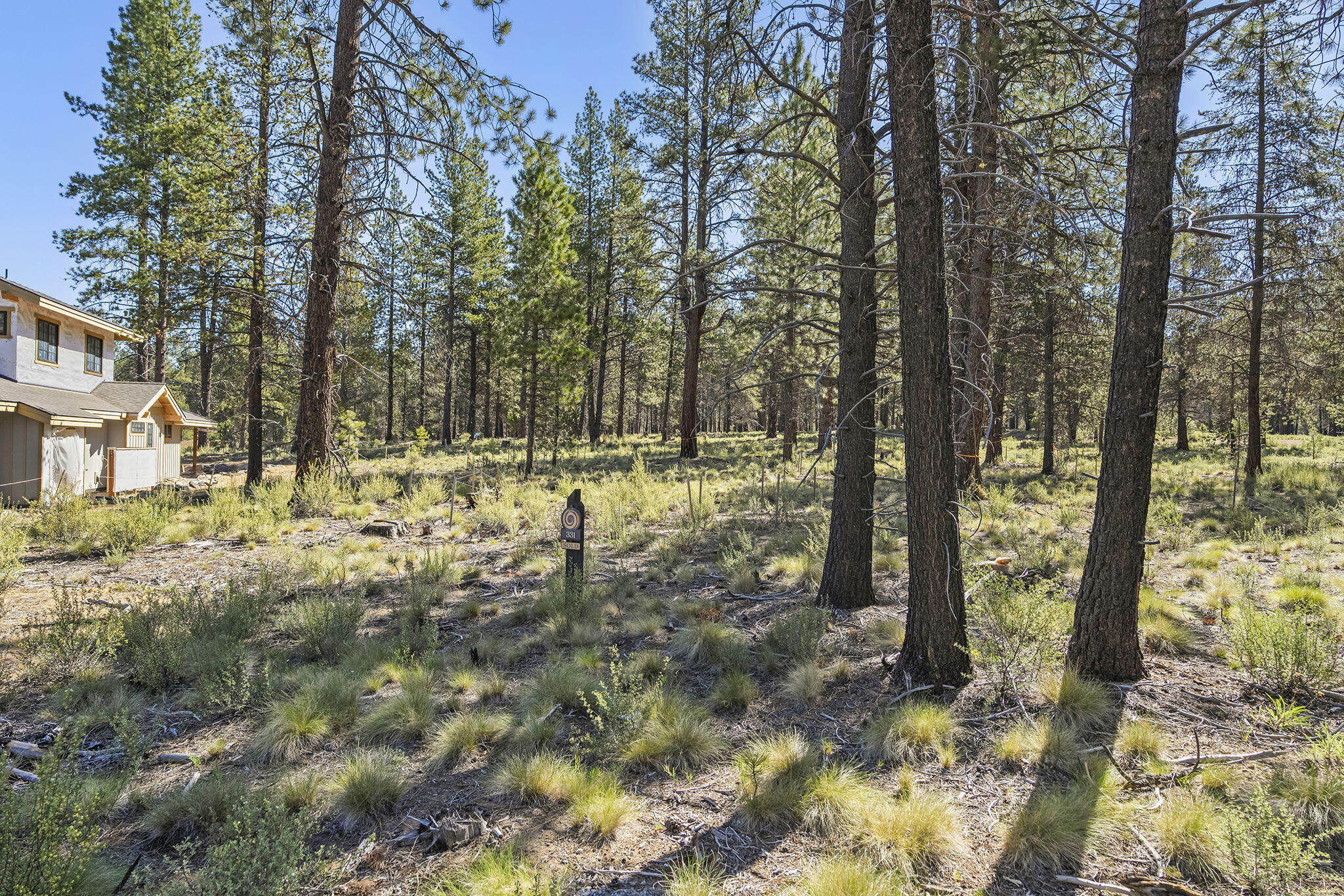 18247 Basalt Lane
