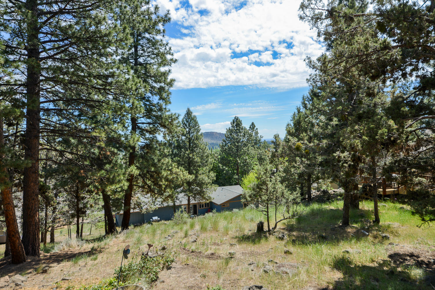 Bend View - Residential