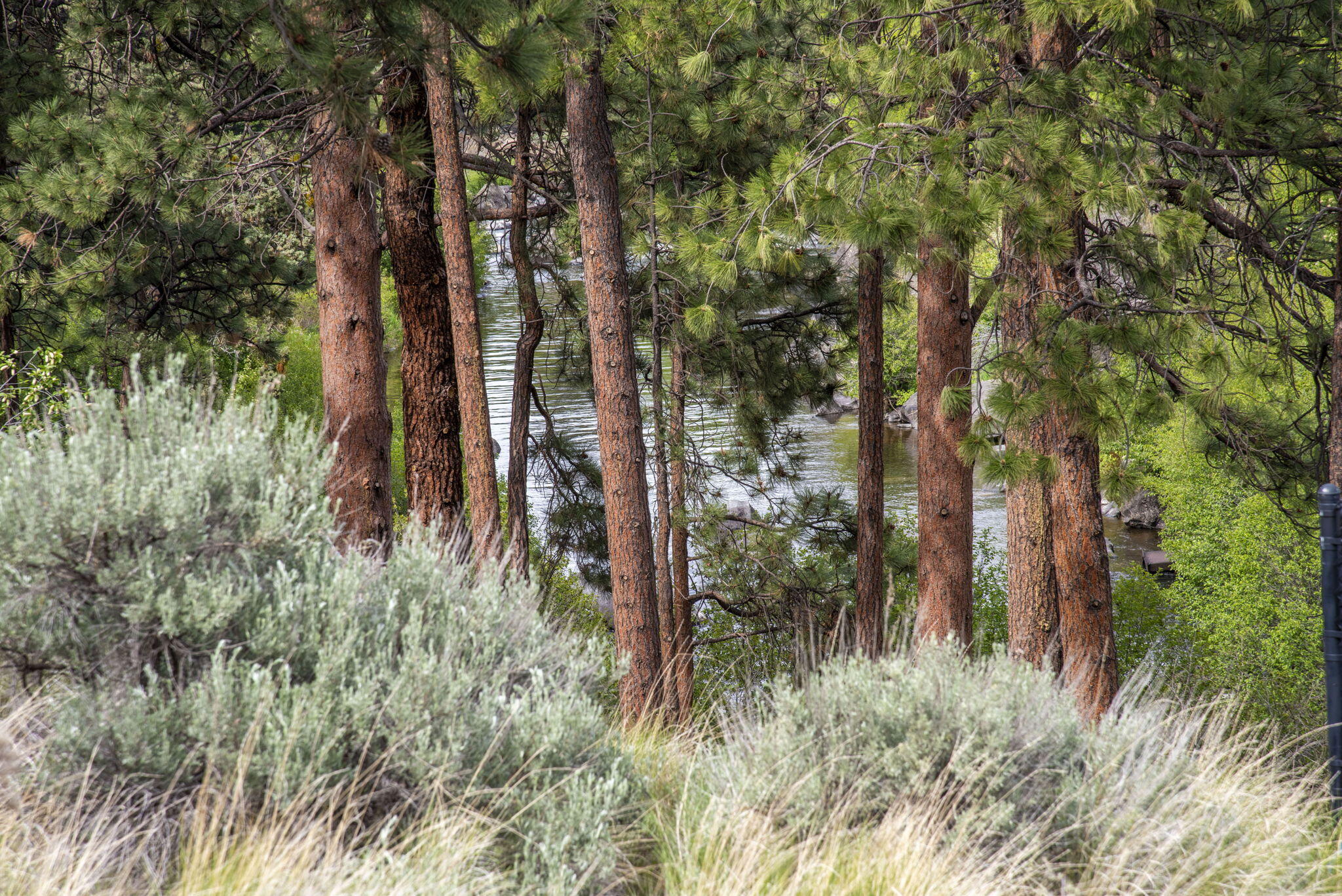 Rivers Edge Village - Residential