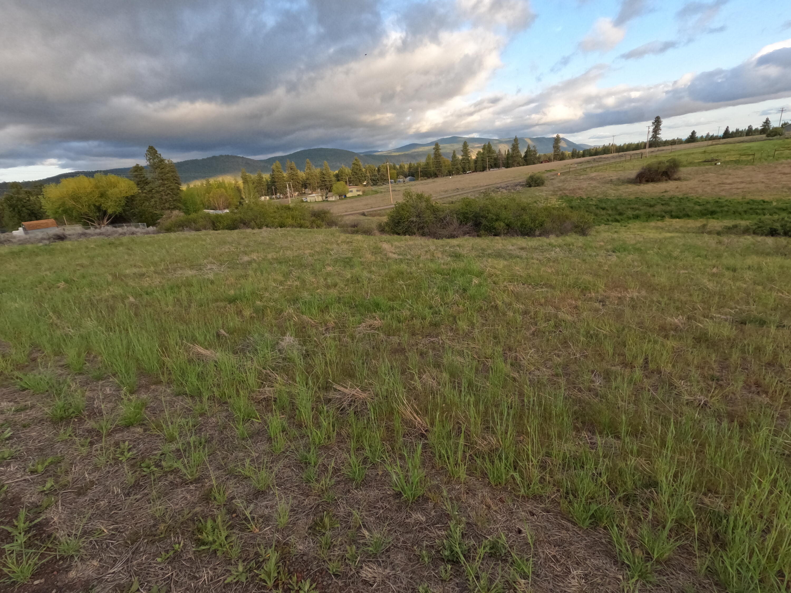 Oregon Shores -Unit 2 - Land