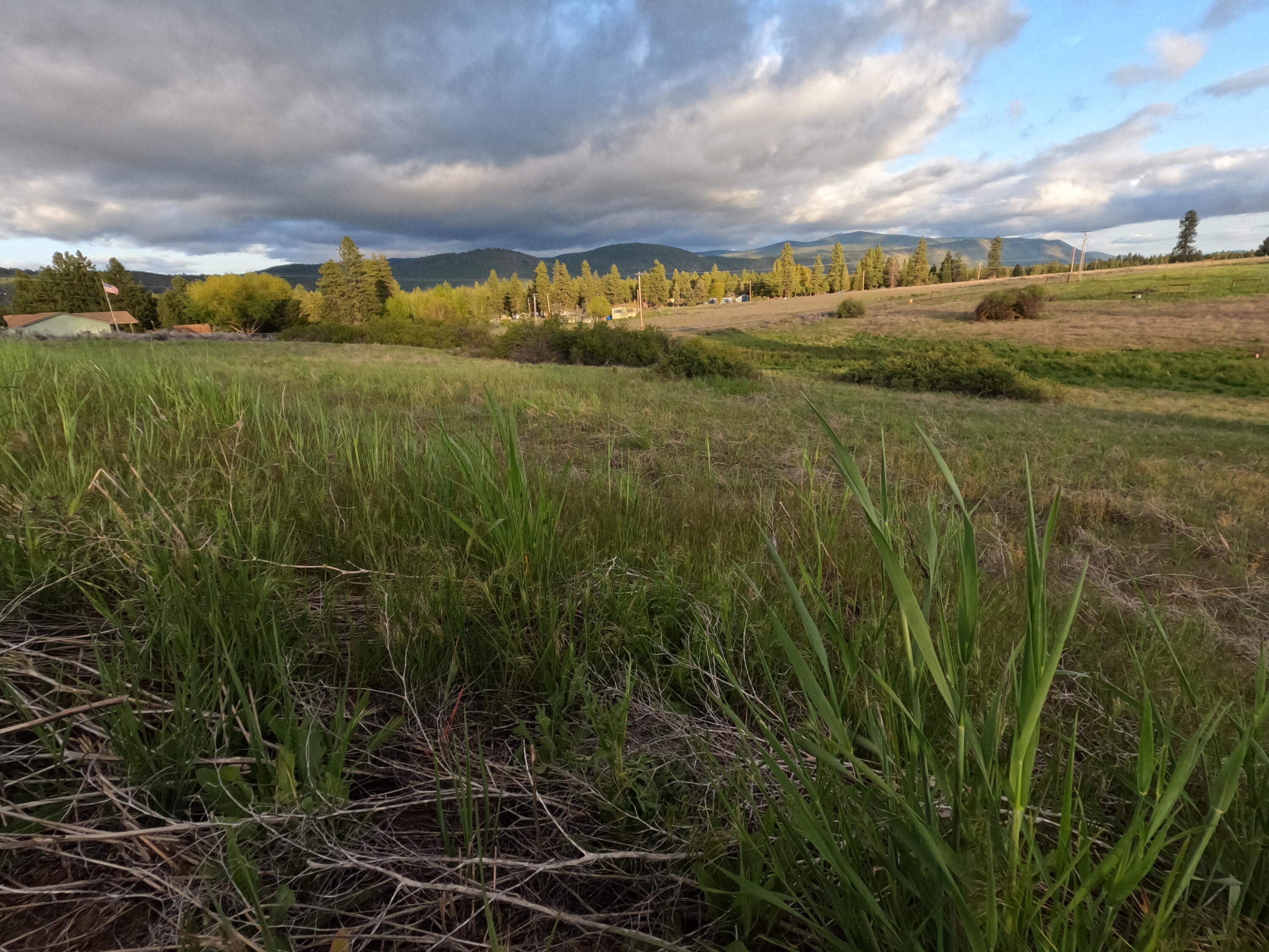 Oregon Shores -Unit 2 - Land