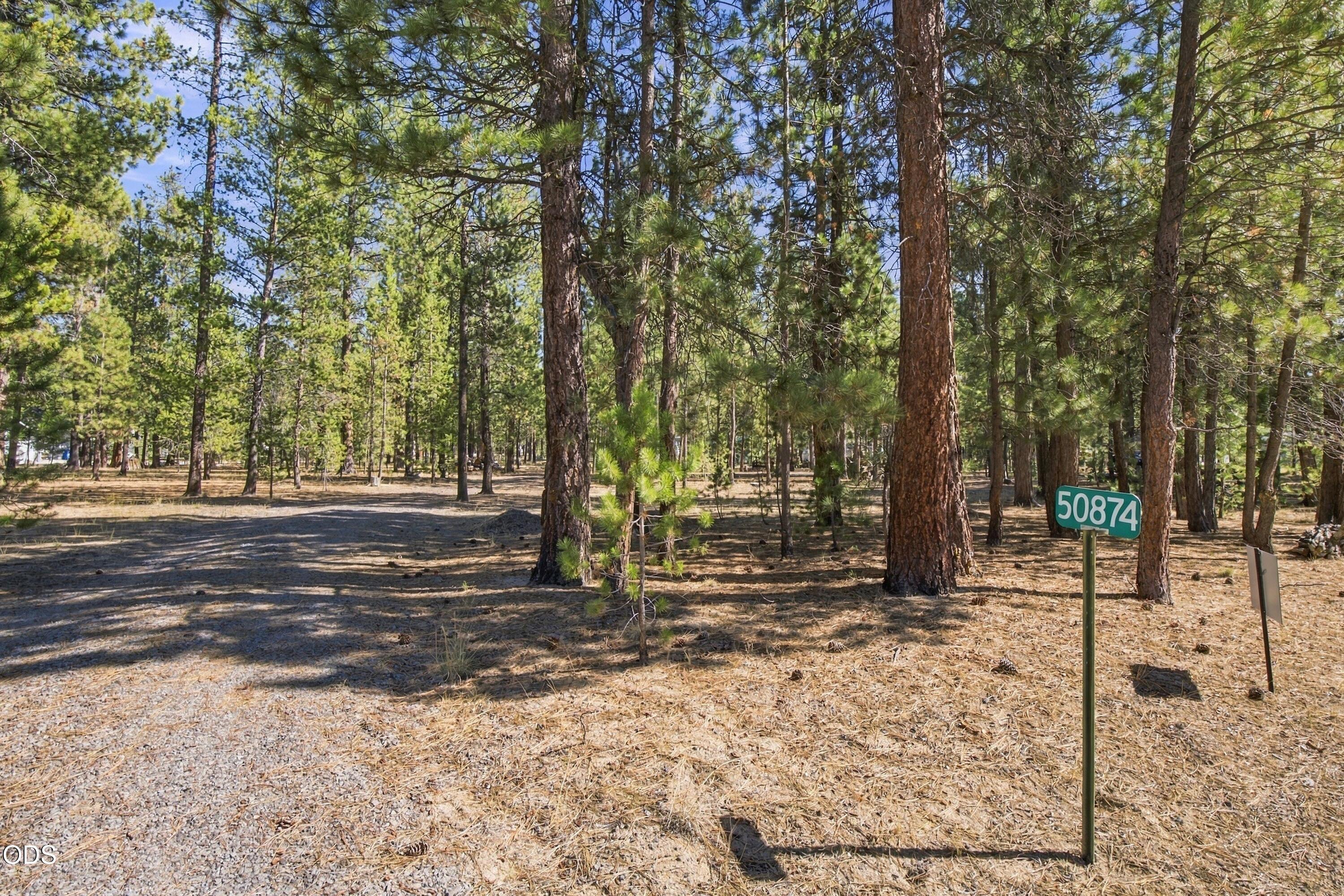 50874 Deer Forest Drive
