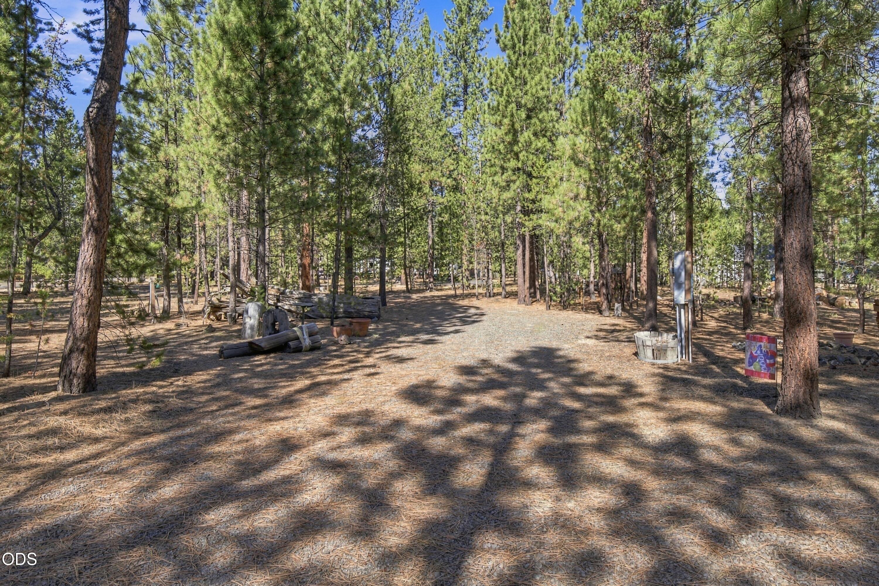 50874 Deer Forest Drive