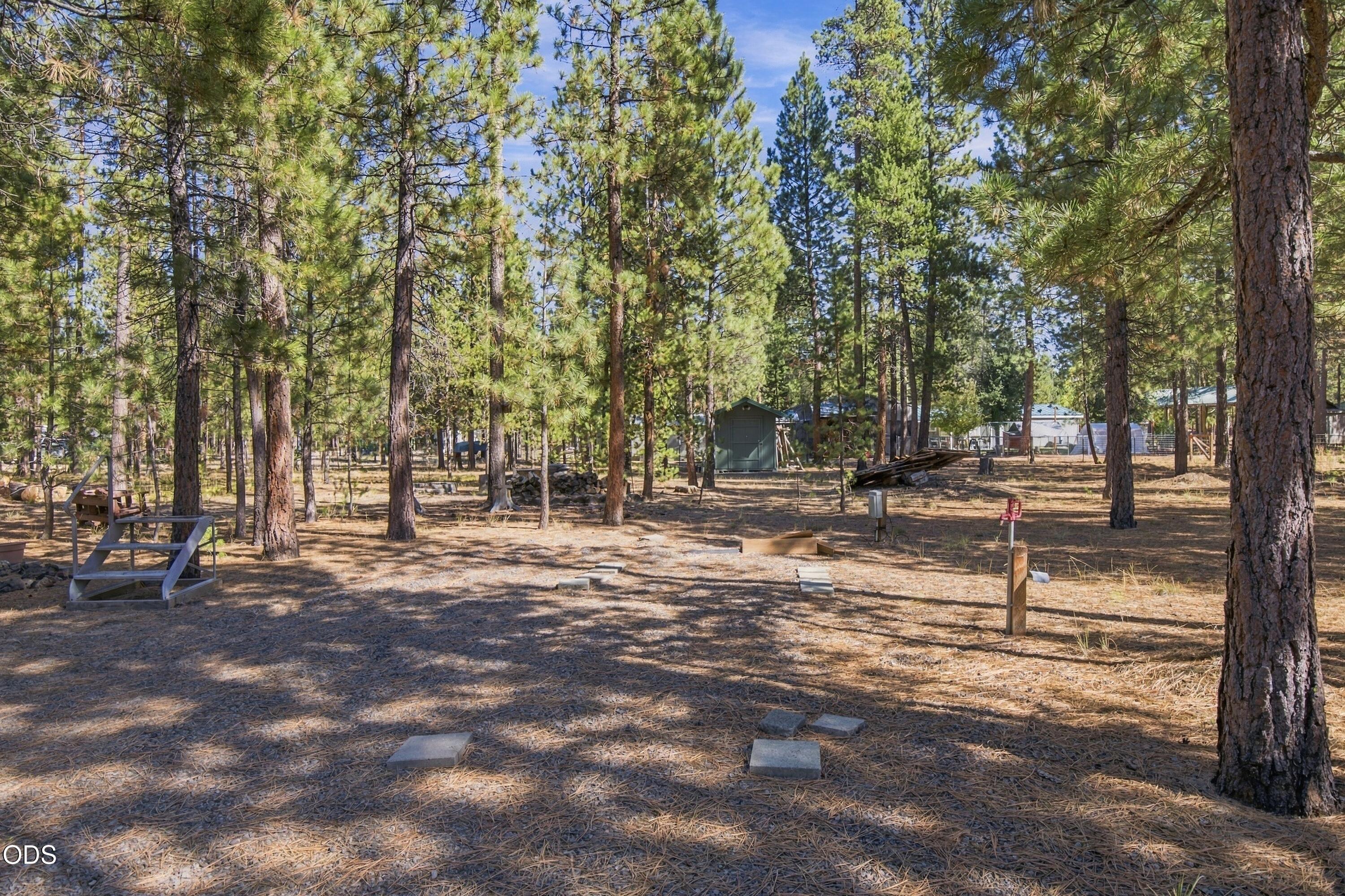 50874 Deer Forest Drive