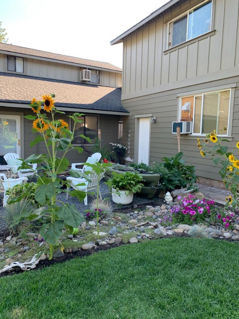 Homestead - Residential