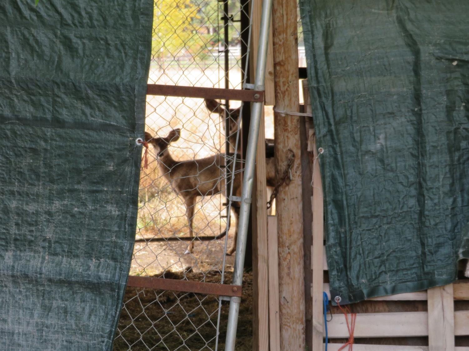 Klamath River Acres - Residential