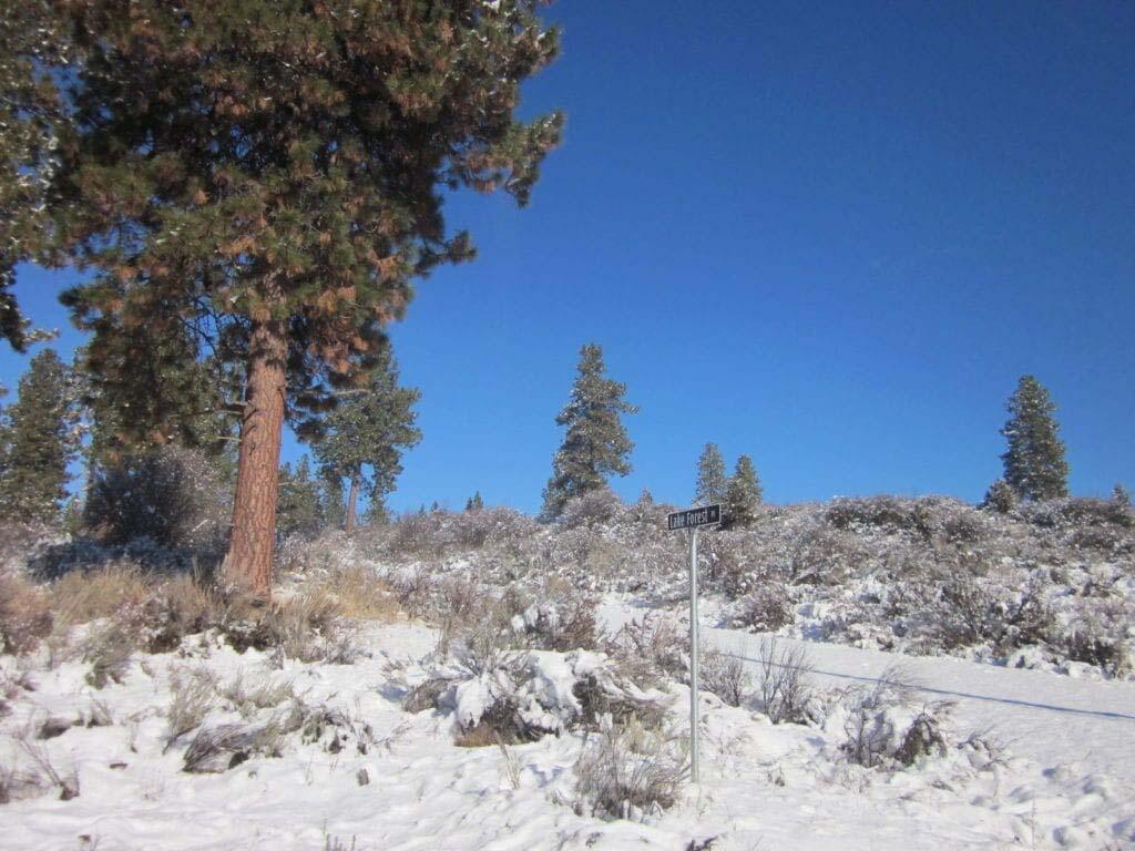 Oregon Shores -Unit 2 - Land