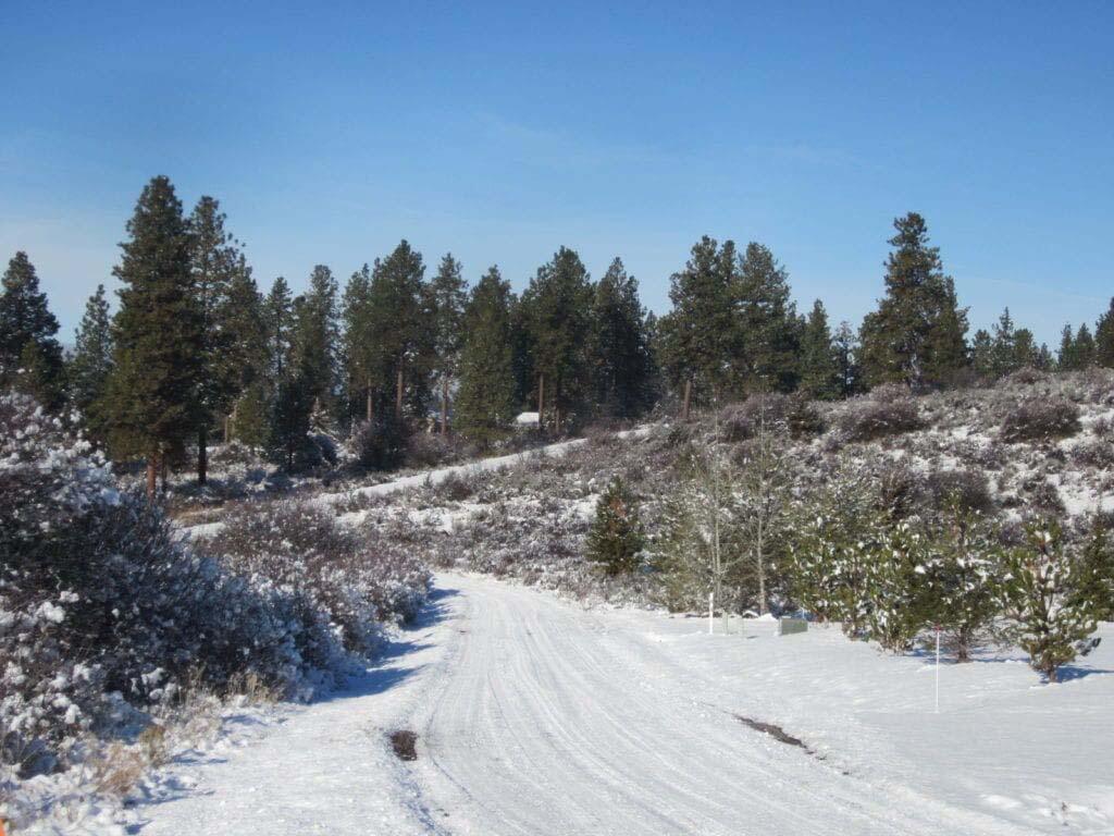 Oregon Shores -Unit 2 - Land