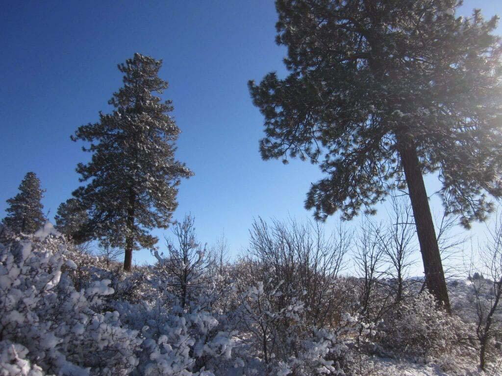 Oregon Shores -Unit 2 - Land