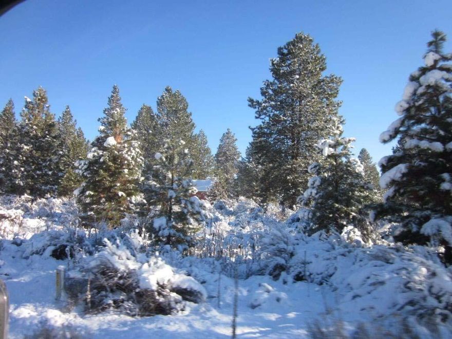 Get this great lot in Oregon Shores 2. HOA dues are $200.00 a year covers water, road maintenance, use of yacht club and boat ramp and access to Agency Lake. Near Agency Lake, Kla-Mo-Ya Casino, Crater Lake National Park, Williamson and Sprague rivers and Henzel Park and about 30-40 minutes from Klamath Falls. Buyer to do their own due diligence.  Lot 26 next to this lot also for sale.