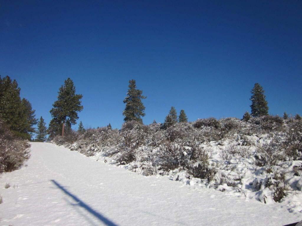 Oregon Shores -Unit 2 - Land