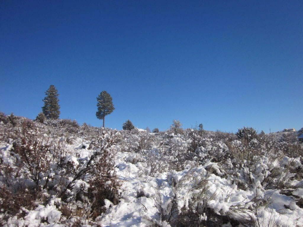 Oregon Shores -Unit 2 - Land