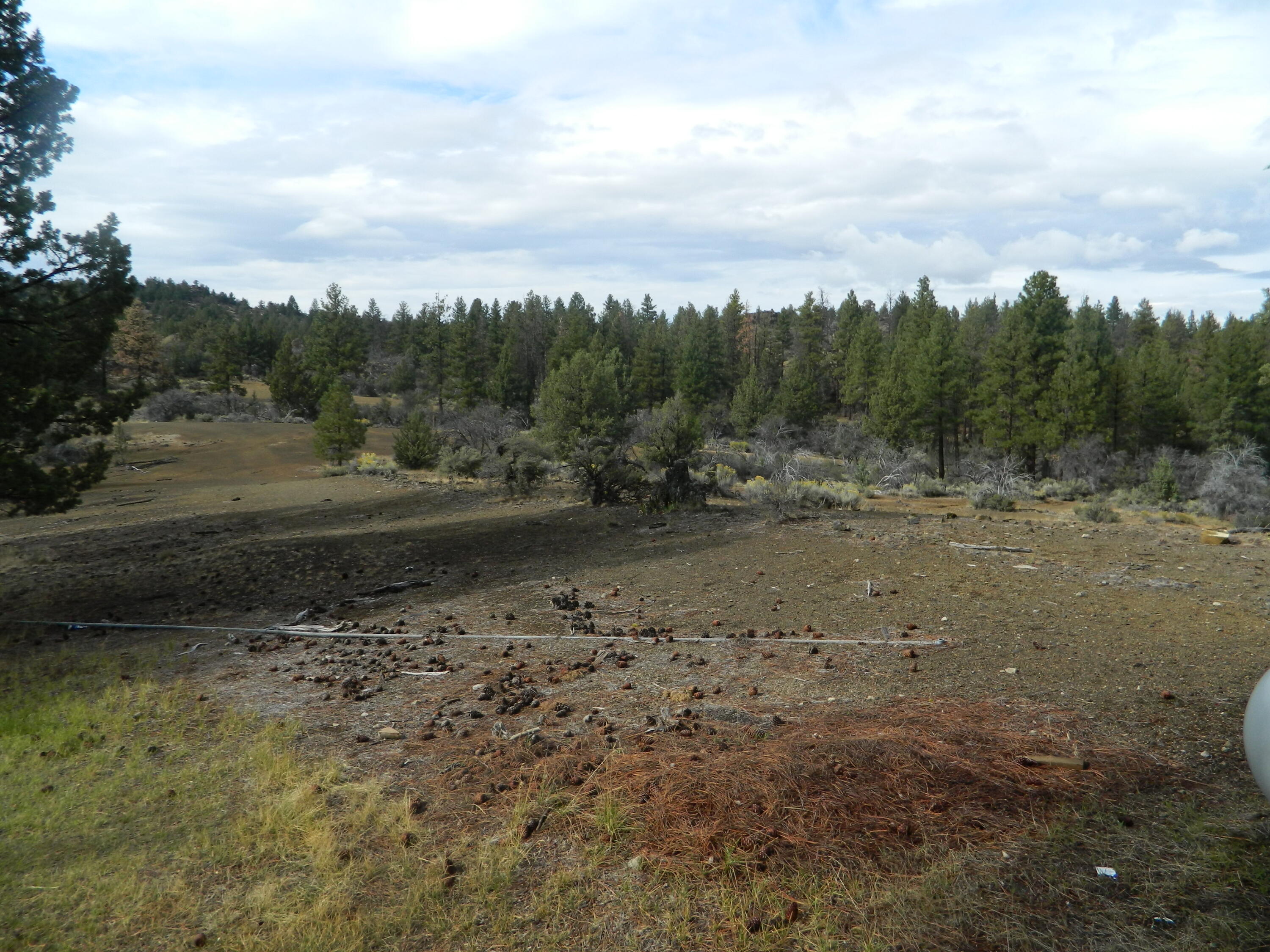 Klamath Forest Estates - Residential