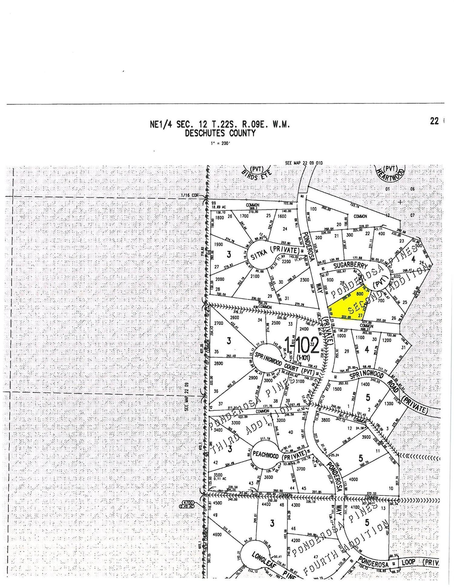 Ponderosa Pines - Land