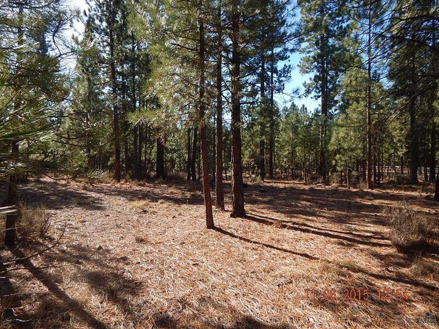 Nice level lot located in Ponderosa Pines. Septic feasibility completed in 1994, will need updated test for septic. Subdivision complies with the forestland-urban interface fire protection act. Community water service available, beautifully treed, flat building lot with privacy. Fantastic access to the recreation Central Oregon is known for. Fishing, hunting, camping, snowmobiling, hiking...all close by and easily accessed. Paved almost to the property, gravel for very short distance. Priced to sell.