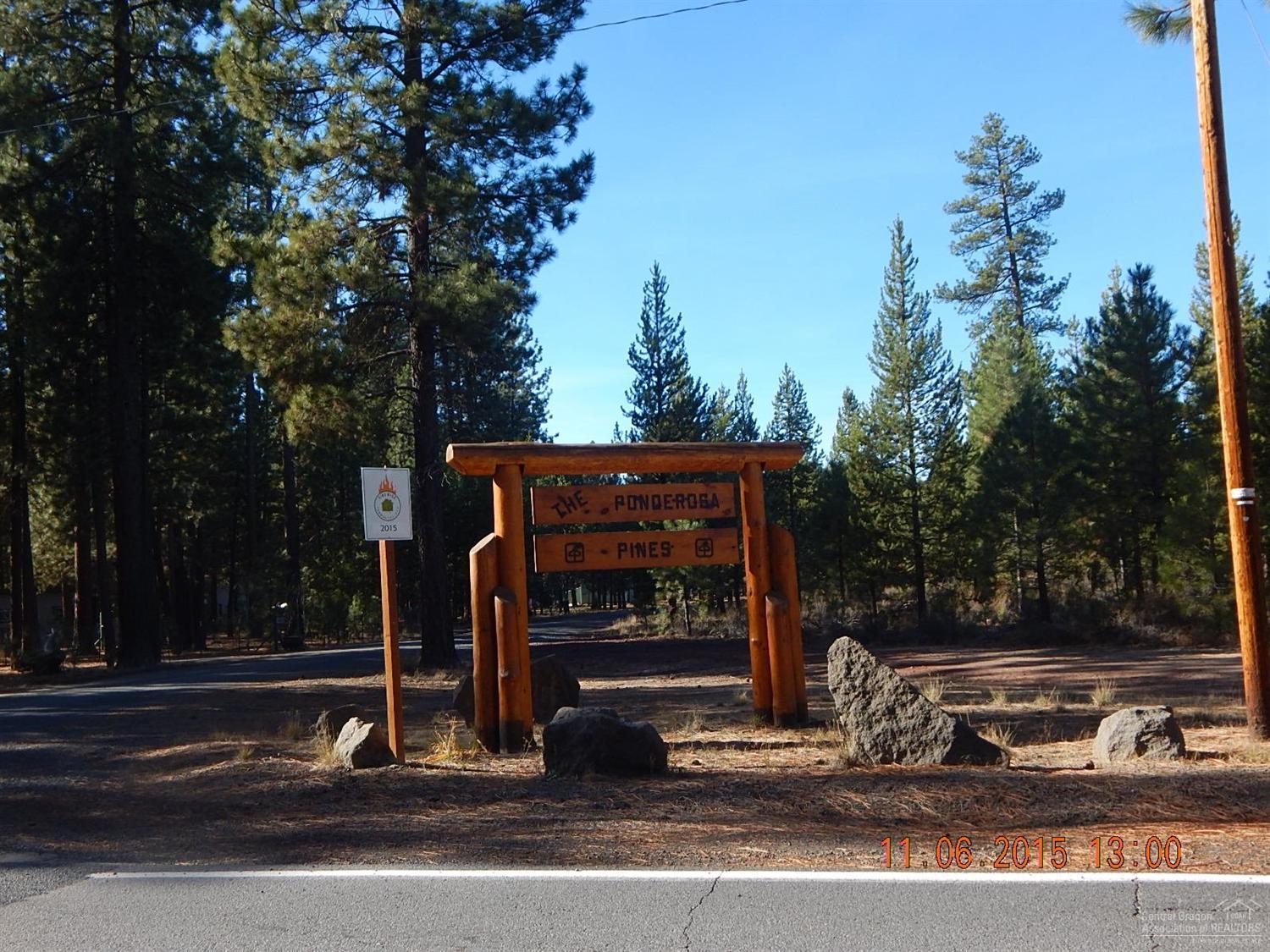 Ponderosa Pines - Land