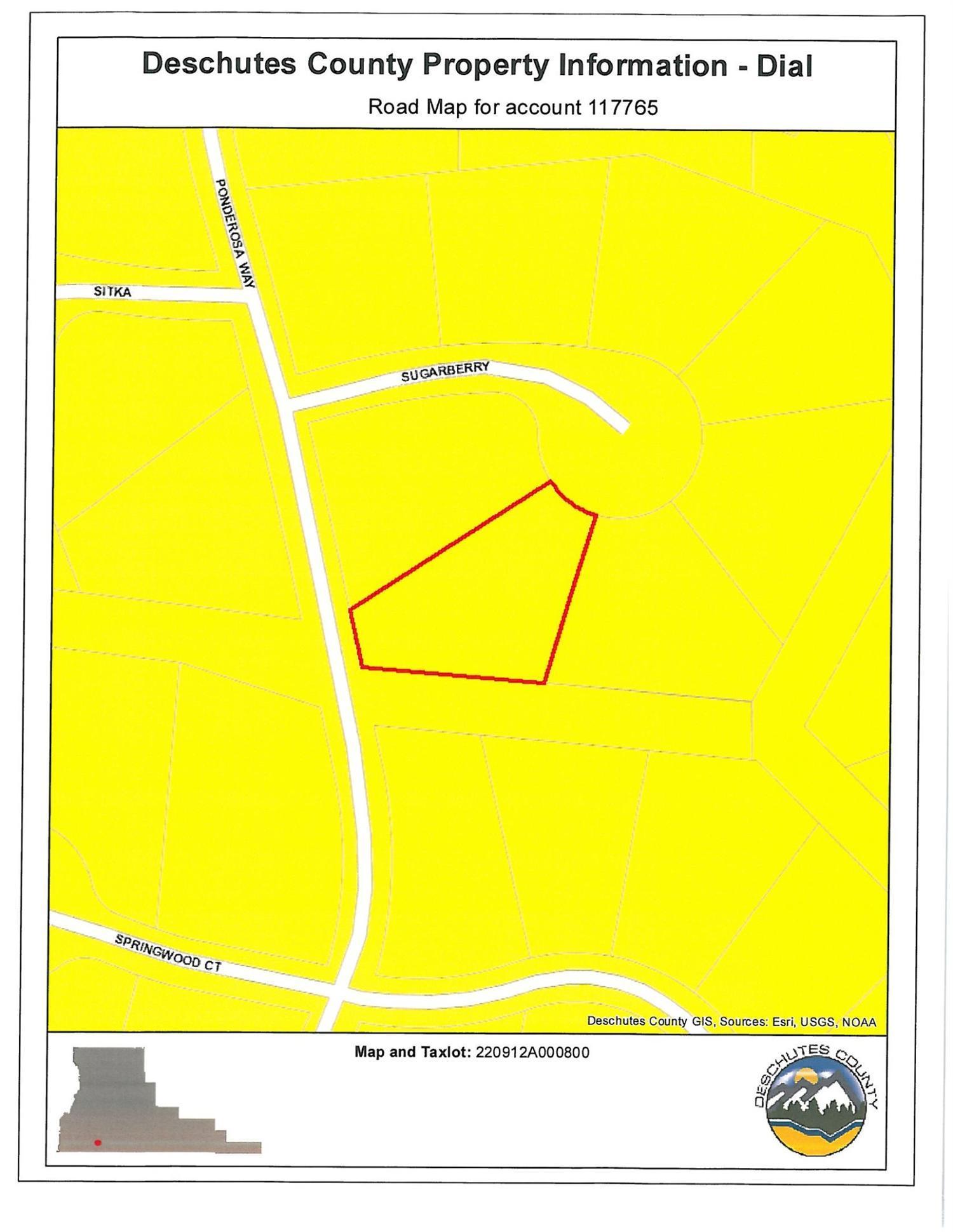 Ponderosa Pines - Land
