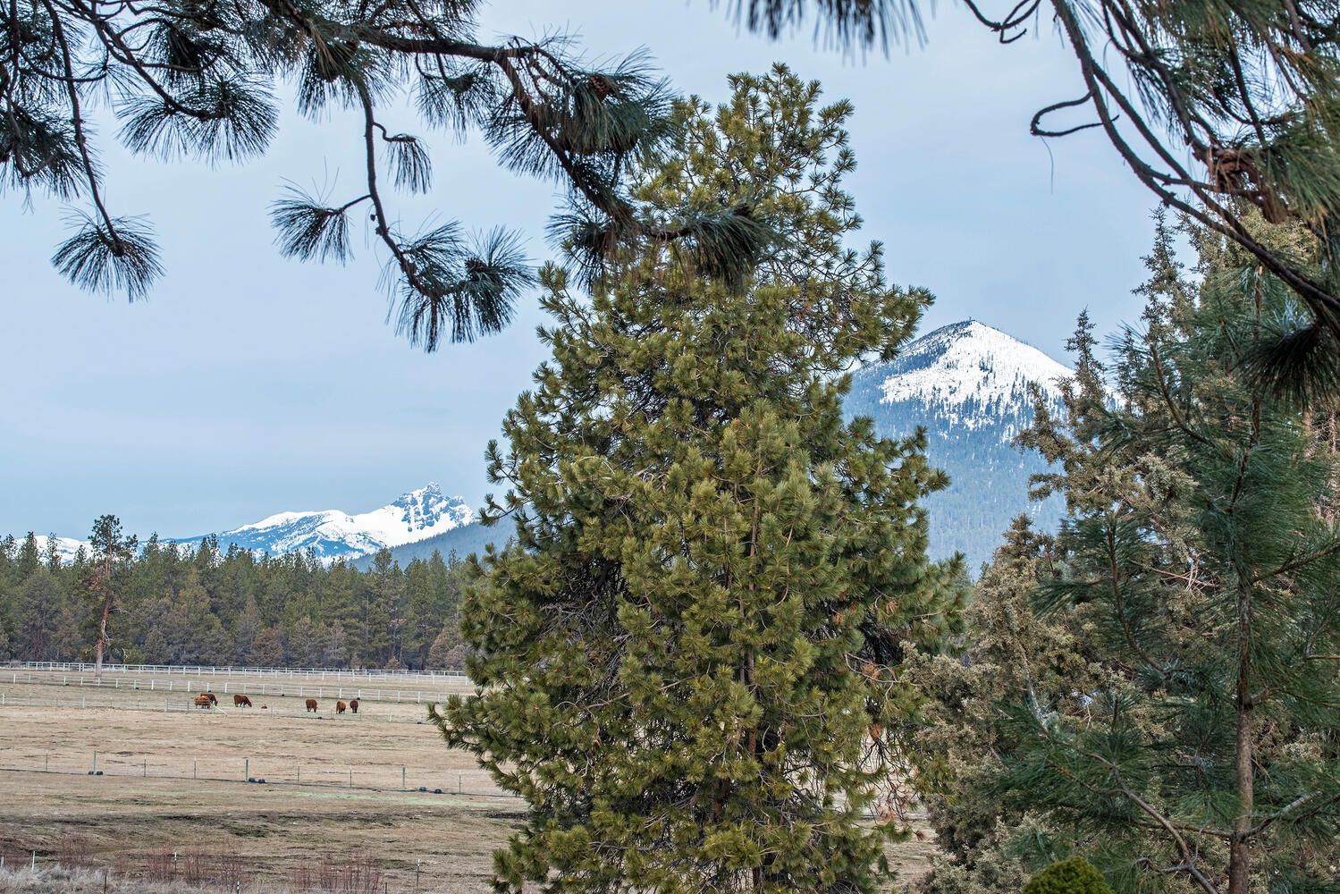 High Meadow - Residential