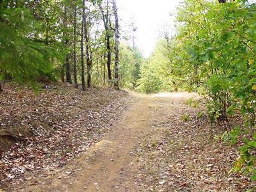 If you're looking for quiet peaceful living this is it! Nearly 20 acres with homesite approval. Septic is in. Well is in. Homesite sits well back on property for ultimate privacy. Lots of wildlife and beautiful mix of trees. There is marketable timber here, however the property has not been cruised. Only about 6 miles off Hwy 234.