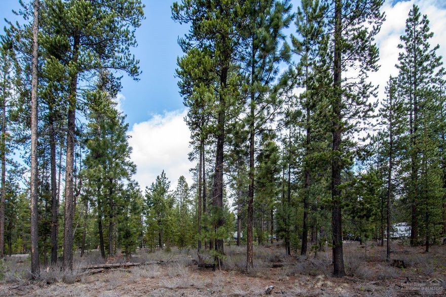 Hard to find corner lot in Newberry Estates! Almost one acre of vacant land ready for your dream home or great recreational lot! Septic, well and electric are already installed on the property. Nicely treed and ready for you to enjoy!