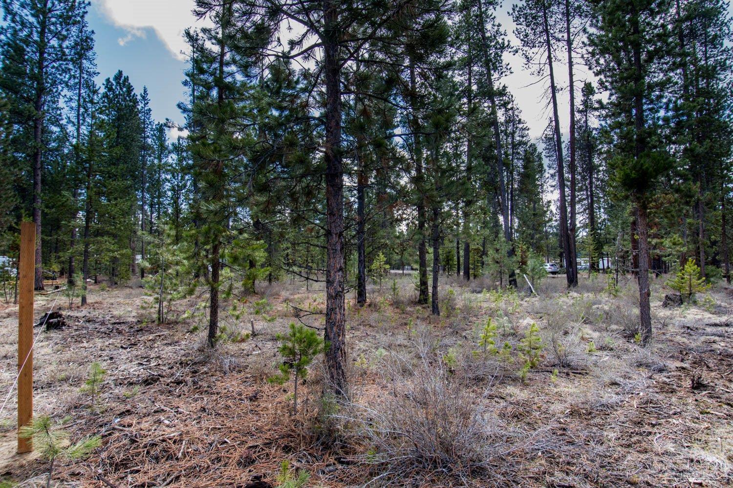 Newberry Estates - Land