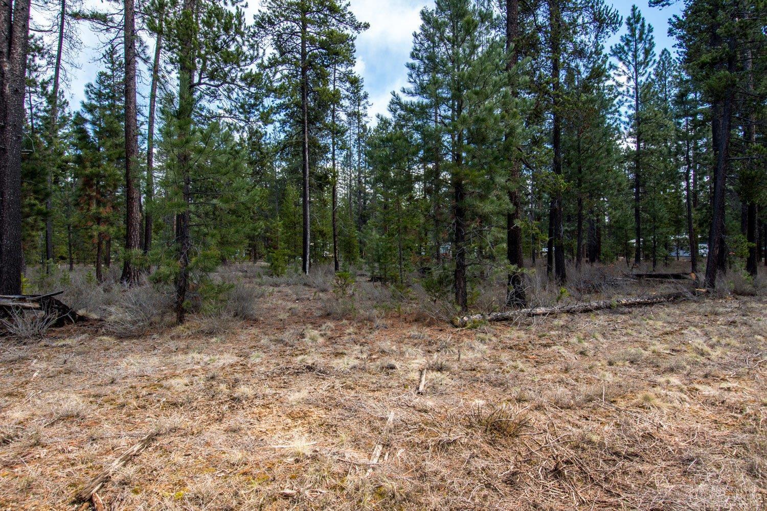 Newberry Estates - Land