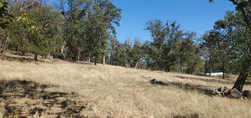 Great EFU zoned parcel close to downtown Medford. Situated on 4.73+/- acres is this gorgeous and extremely accessible parcel. Located well off the road, perched on a small knoll, great views below, and allowing for extreme privacy this EFU zoned parcel also has irrigation rights from Talent Irrigation Dist. Great Neighborhood. Neighbor has easement through property for access. Buyer to complete their own due diligence with regards to use and homesite authorization. Seller may carry contract for the right situation.