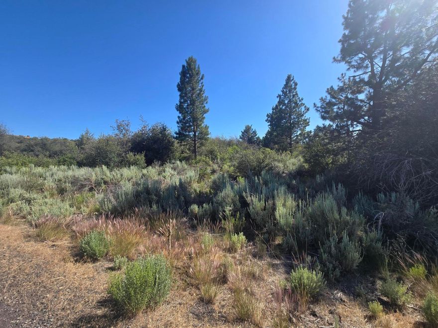 Discover the beauty of this scenic 0.31-acre corner lot in Oregon Shores 2.  Perfectly positioned to capture peaceful views of Agency Lake and the Cascade Mountains, it's an excellent site for your future home.  This property includes valuable community perks such as road maintenance, winter snow removal, and water all for just $200 annually. A short drive brings you to Chiloquin for restaurants, shopping, gas and casino.  It is also close to the Sprague and Williamson Rivers and Klamath Falls.  Come take a look at this lot and start building your dream home!