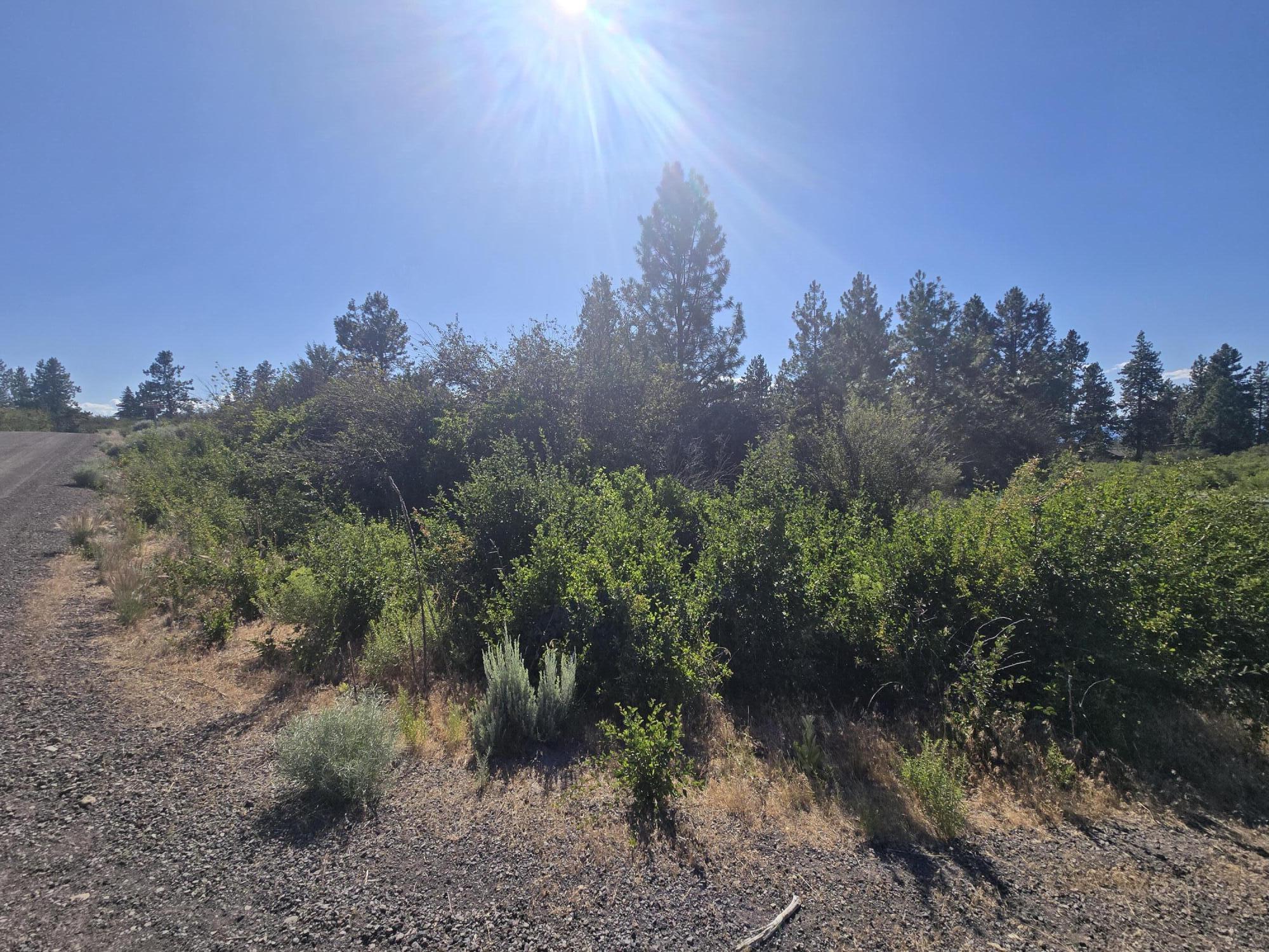 Oregon Shores -Unit 2 - Land