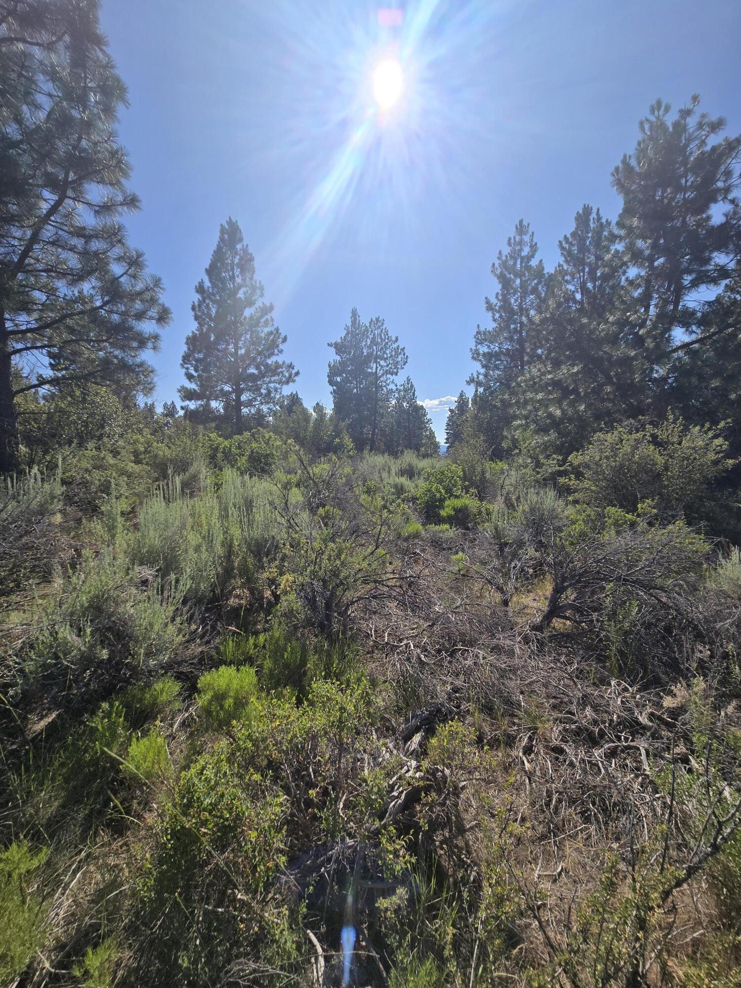 Oregon Shores -Unit 2 - Land