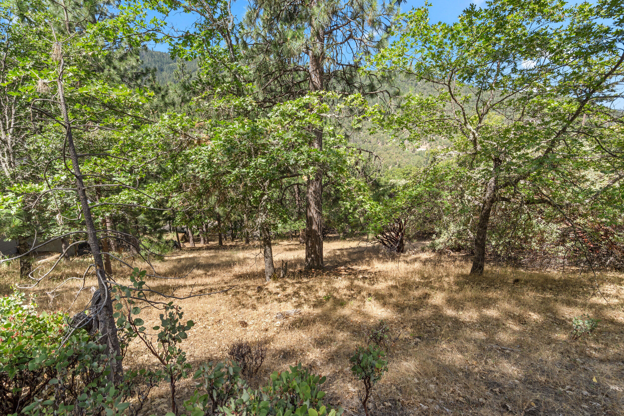 Terrace Court - Land