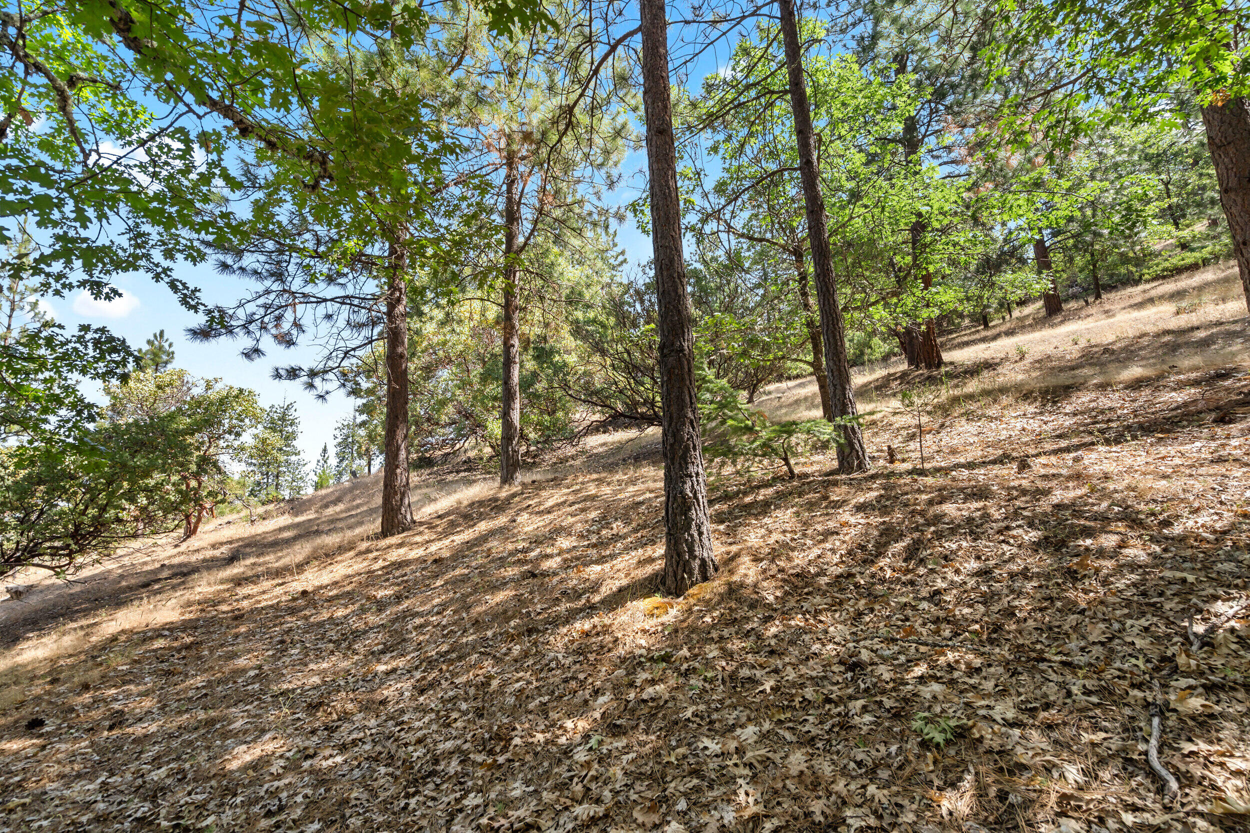 Terrace Court - Land