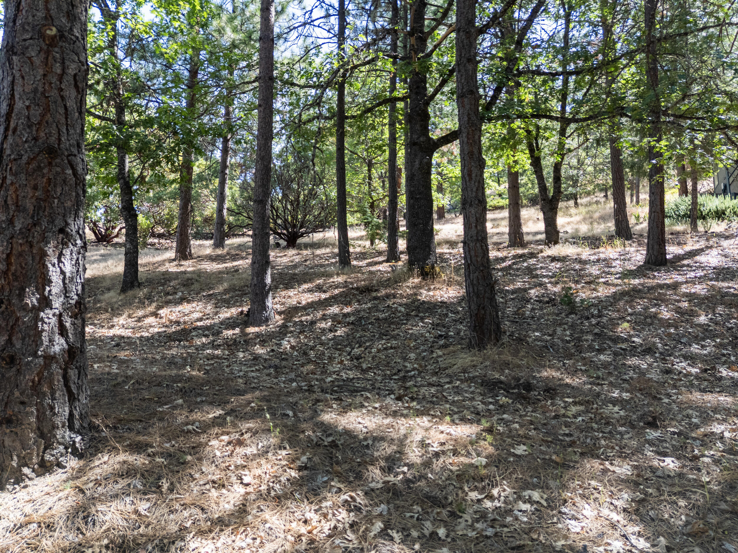 Terrace Court - Land