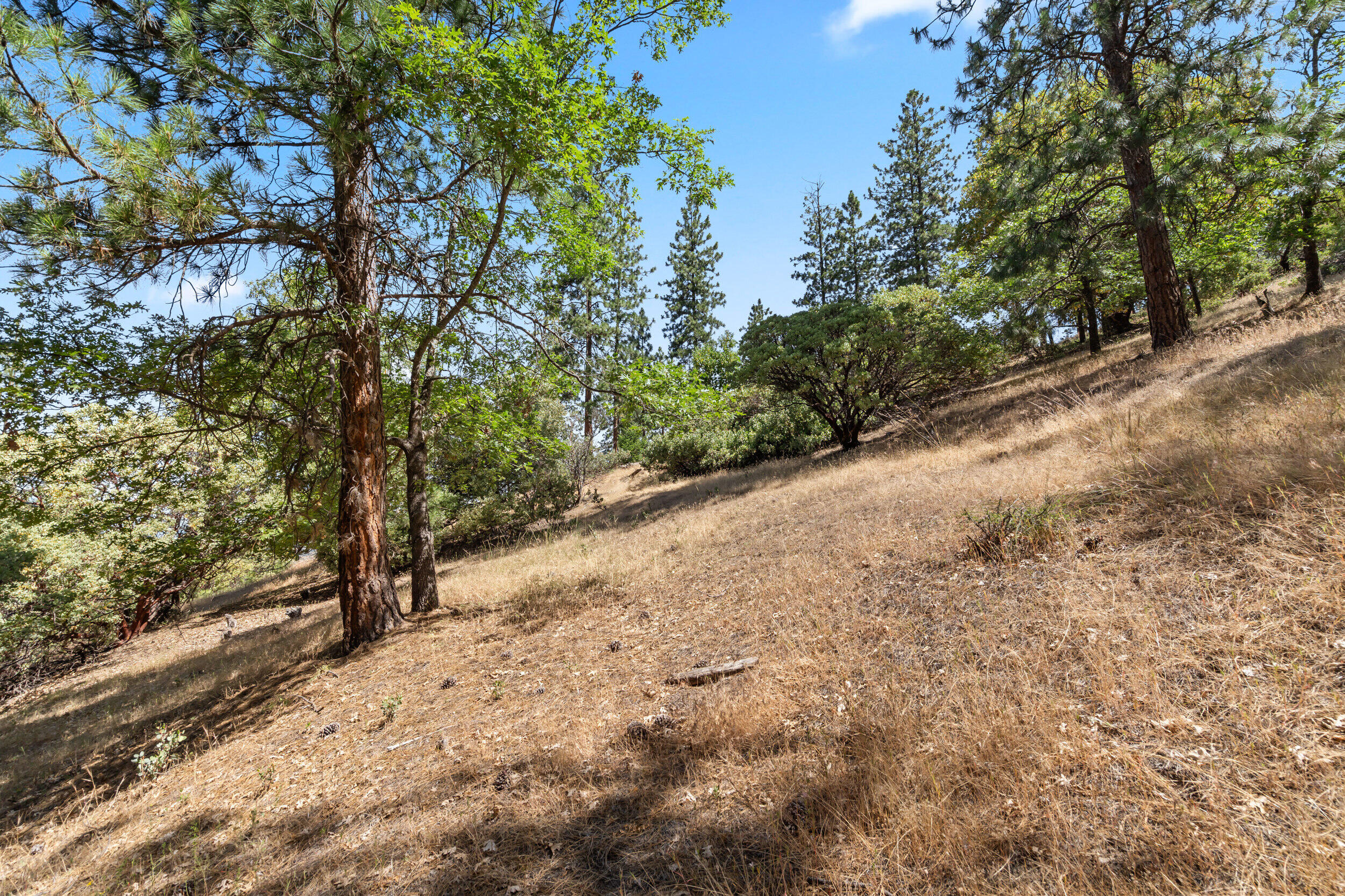 Terrace Court - Land