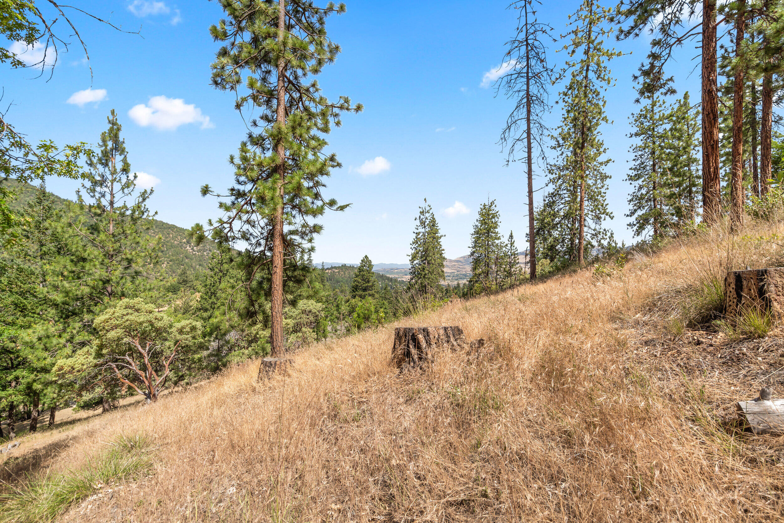 Terrace Court - Land