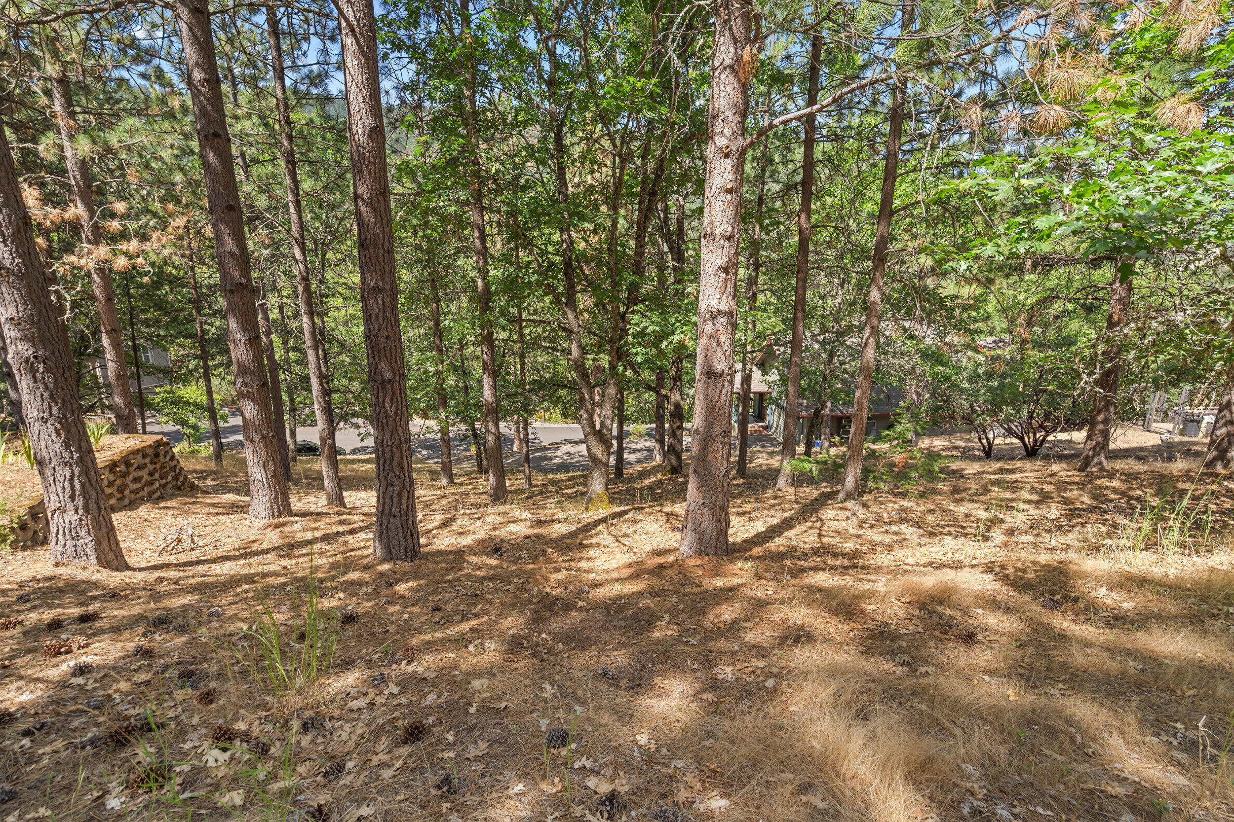 Terrace Court - Land