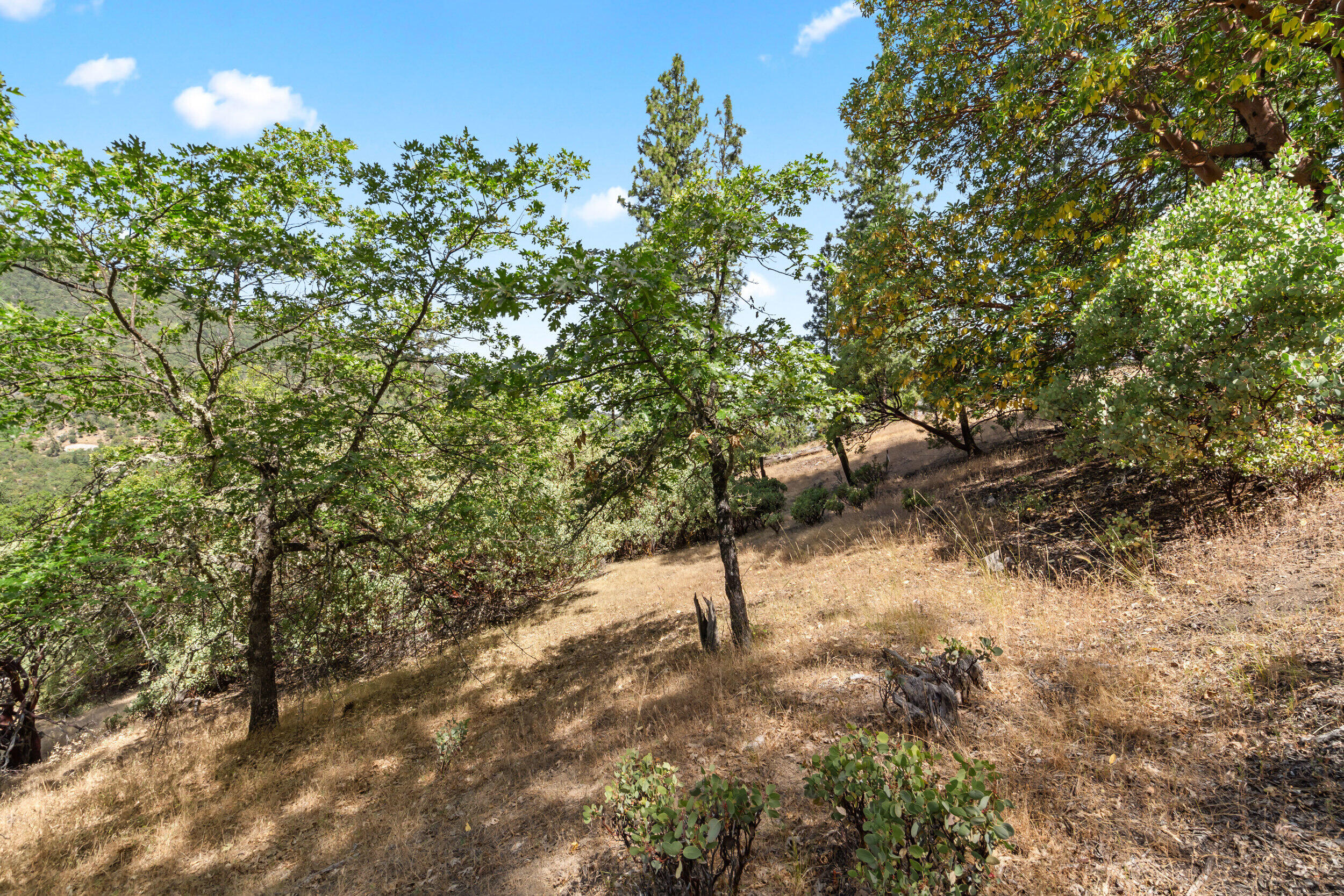 Terrace Court - Land