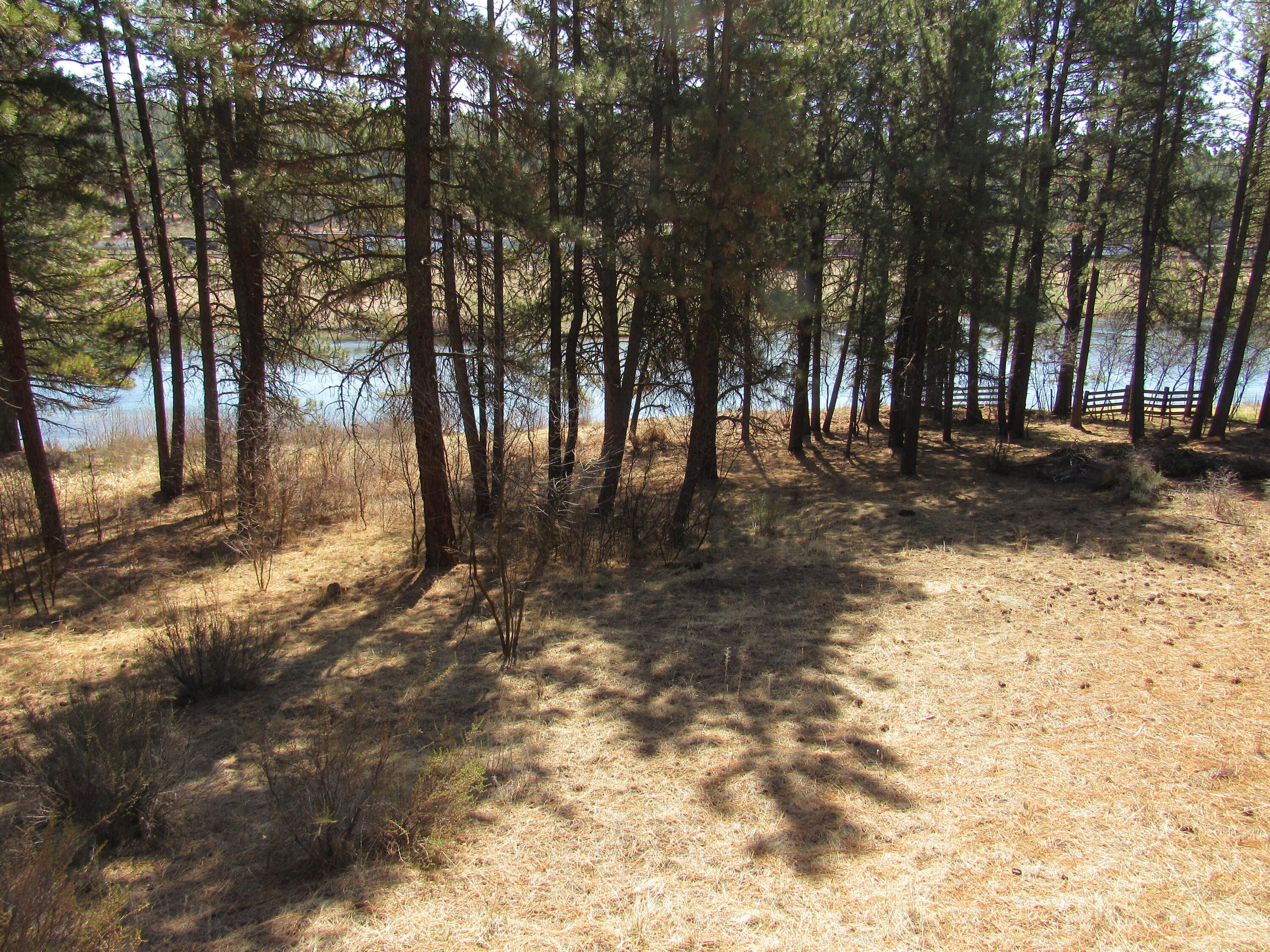 Williamson River Pines - Residential
