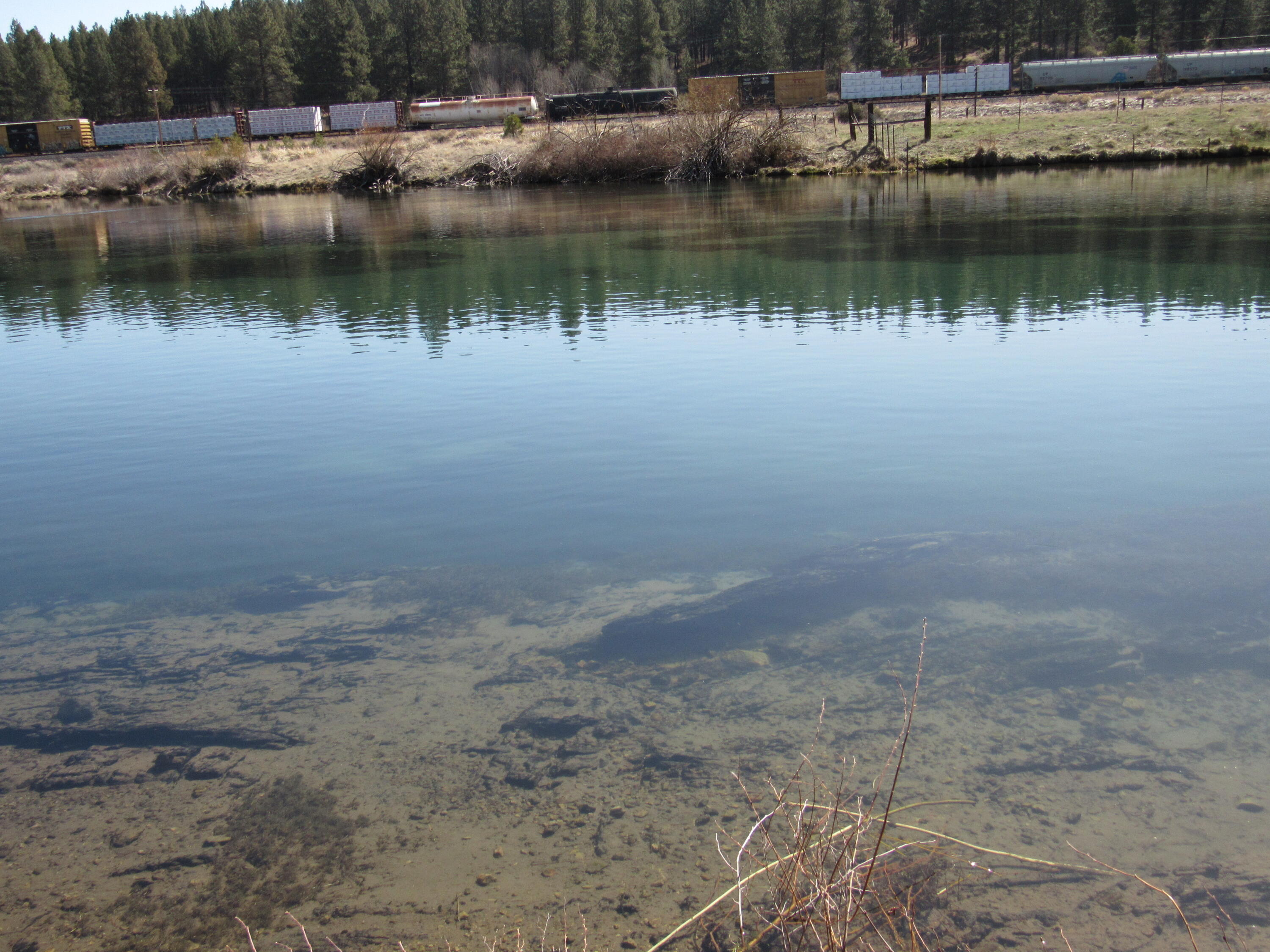 Williamson River Pines - Residential