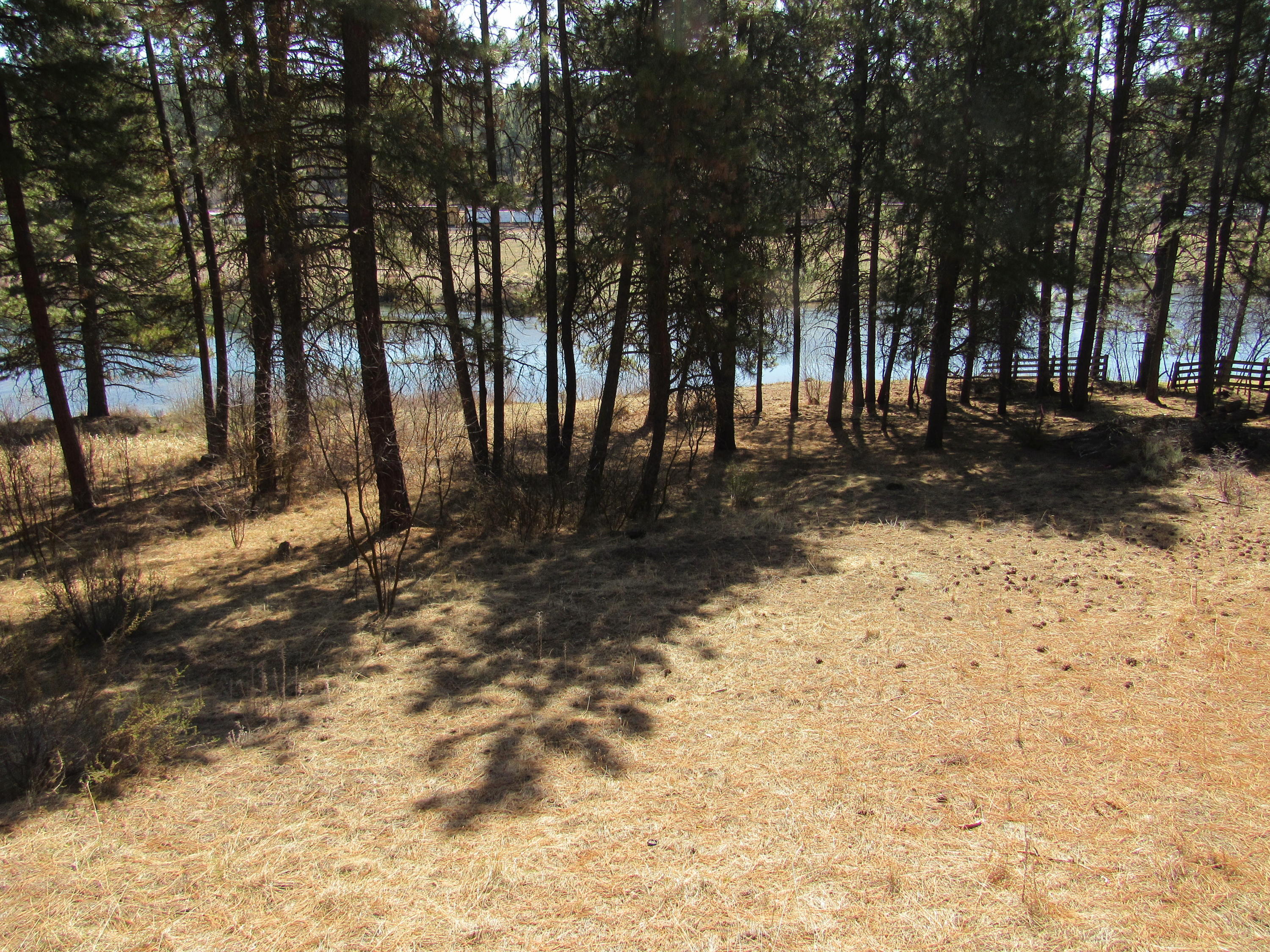 Williamson River Pines - Residential