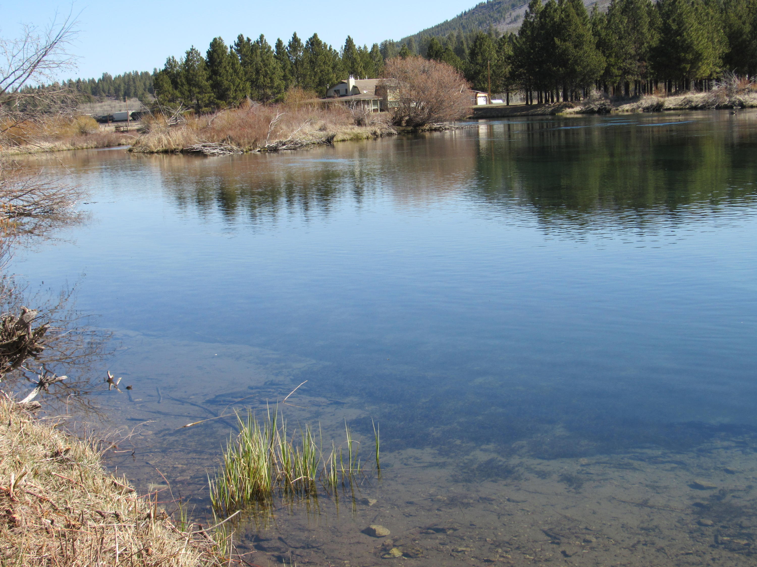 Williamson River Pines - Residential